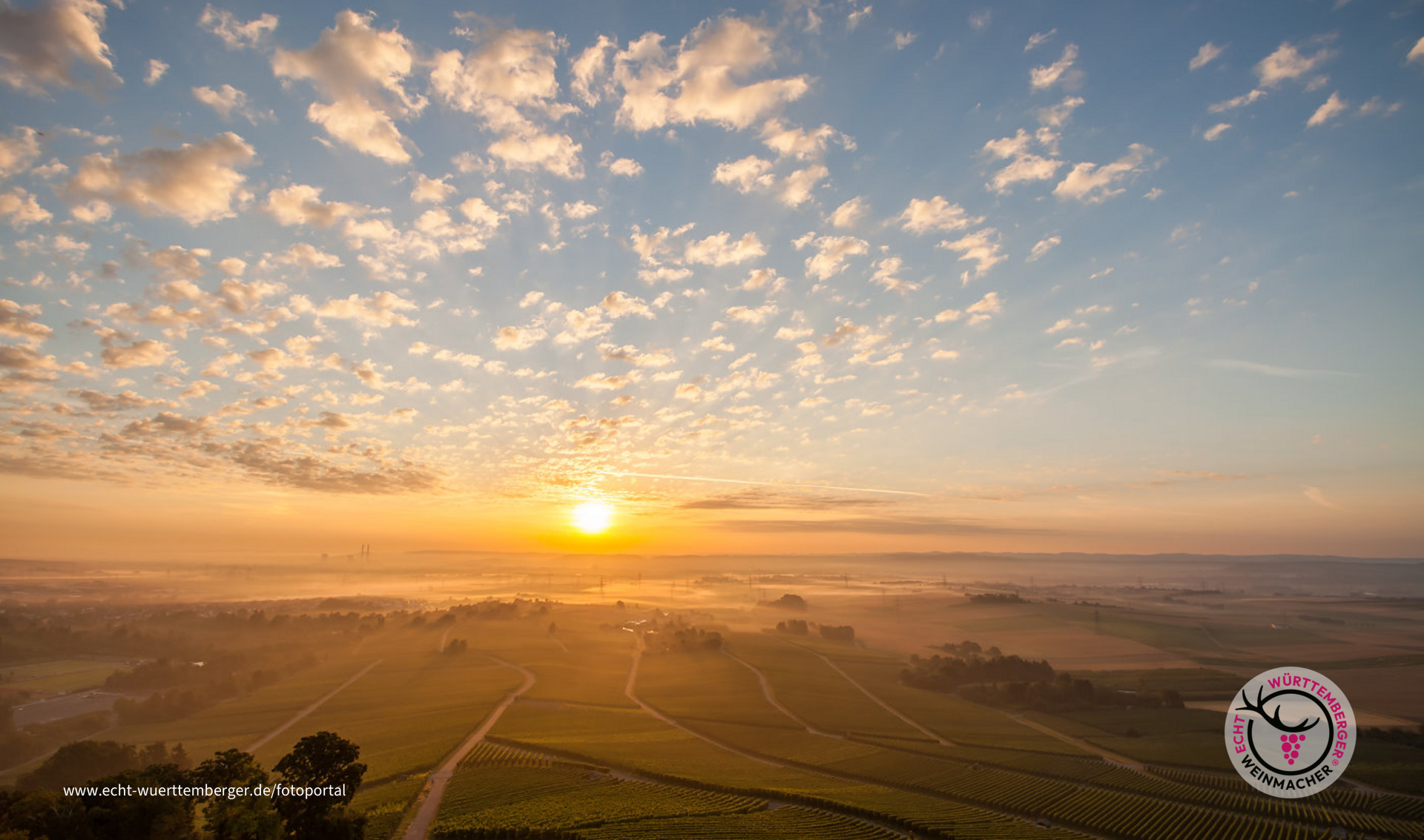 ein neuer Tag über den Weinbergen...