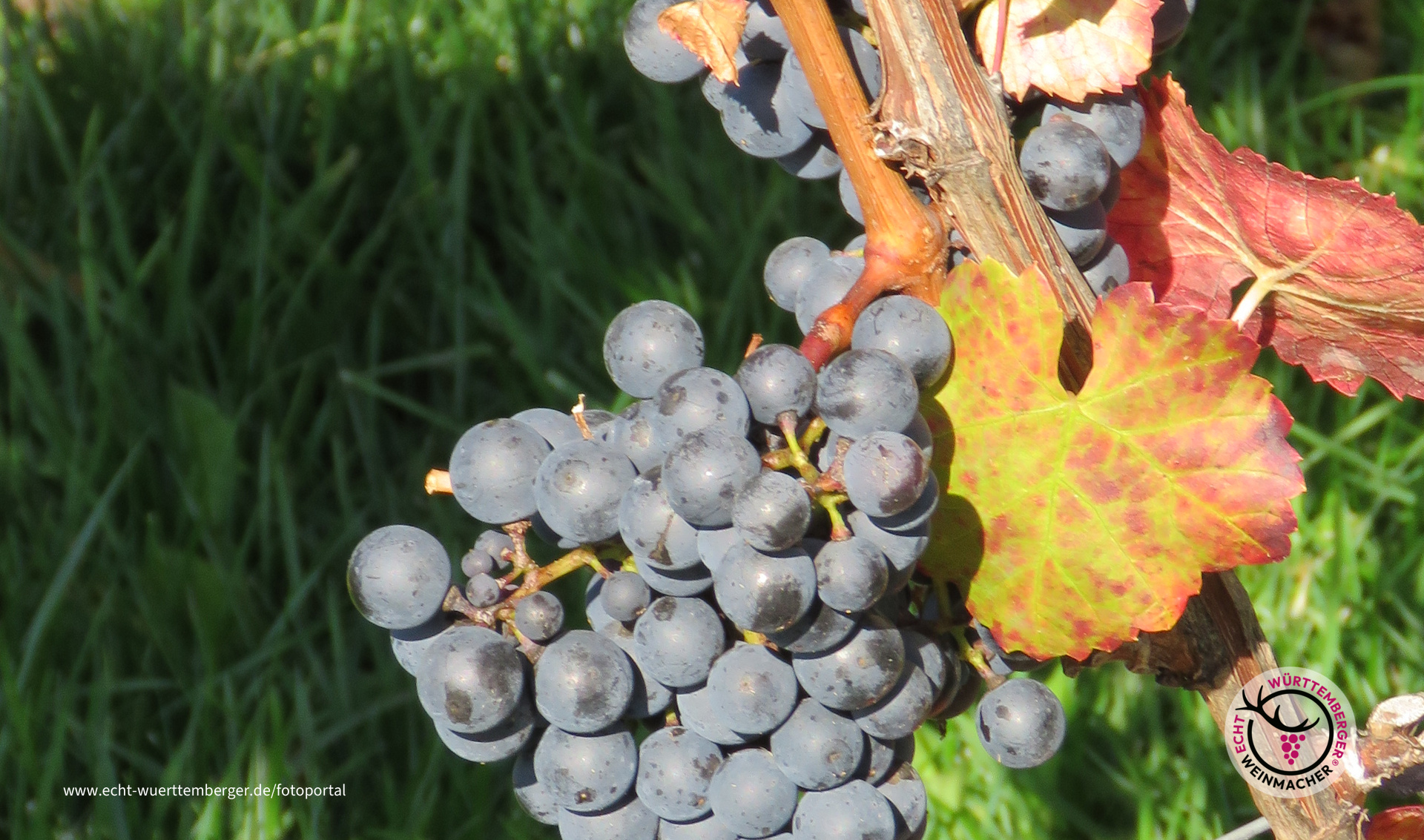 Ergebnis harter Arbeit