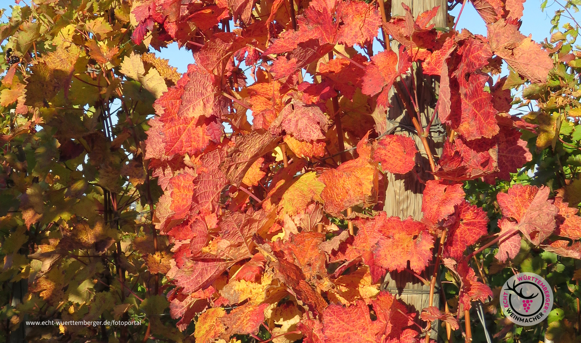traumhafte Herbstfarben