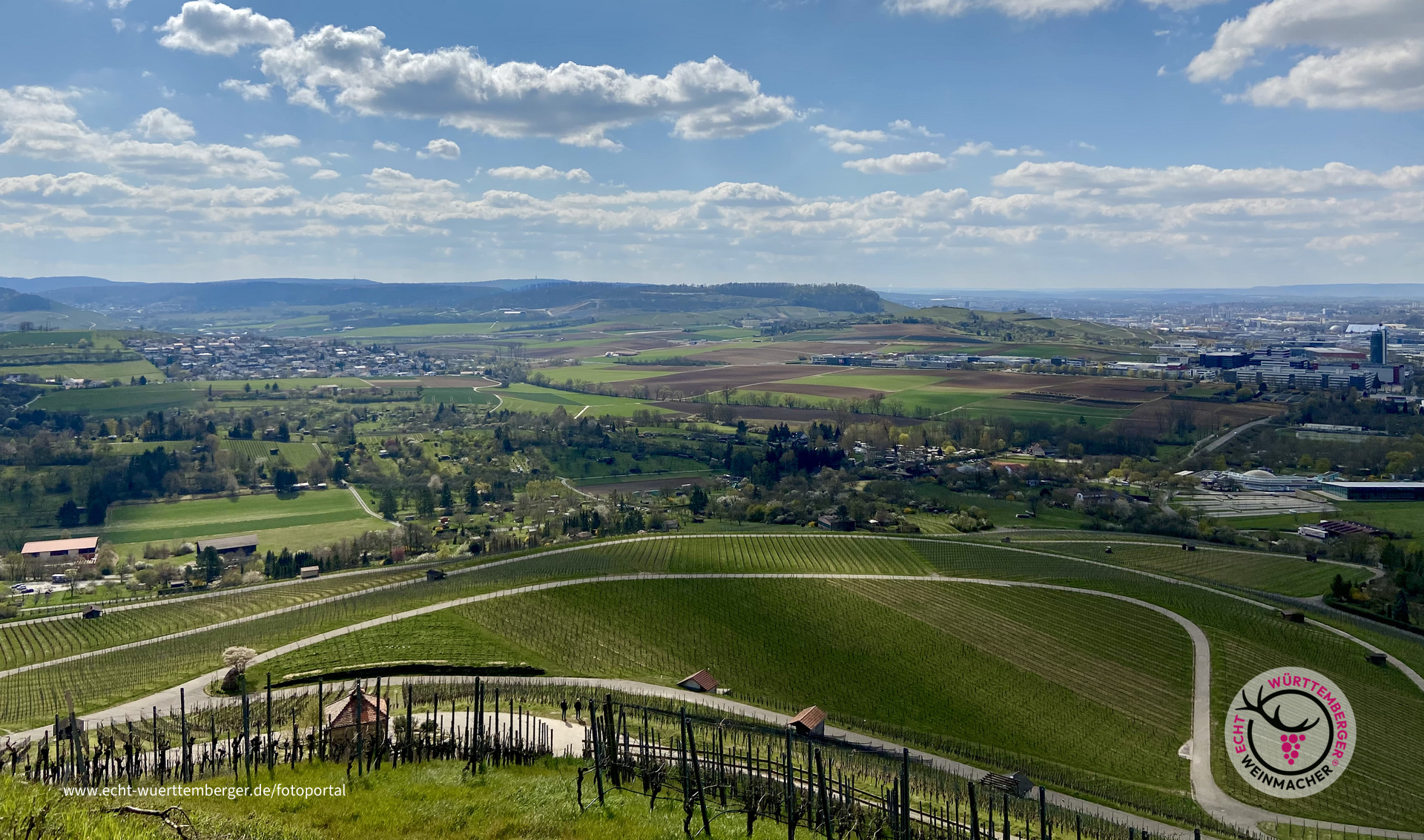Weinheimat Neckarsulm