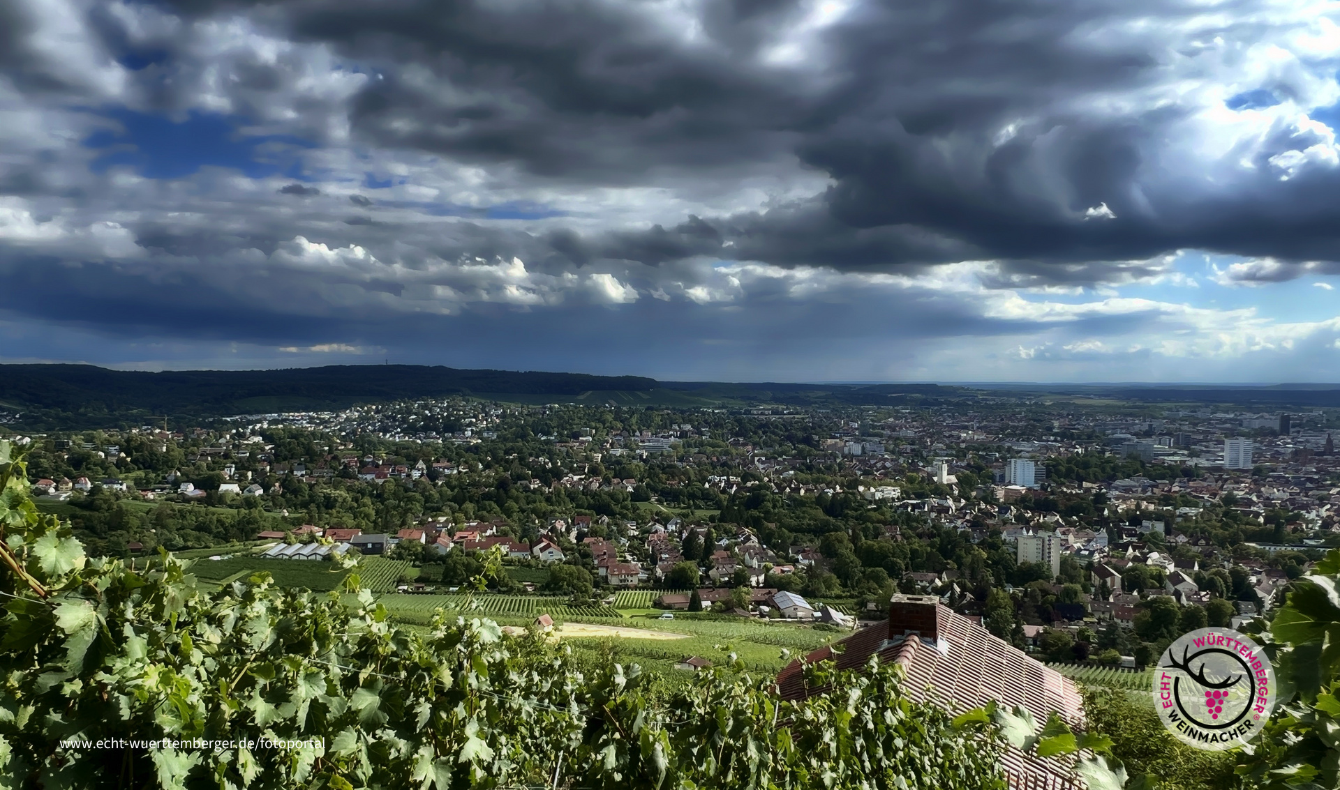 Die Wengerter müssen nicht mehr länger auf Regen warten...