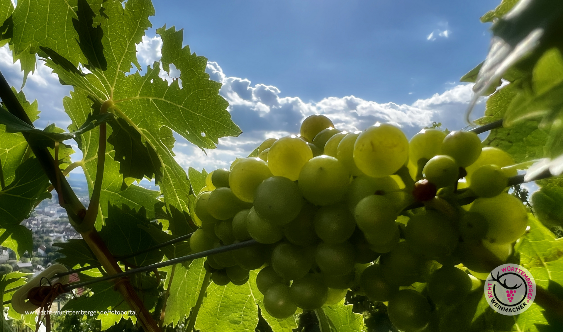 Von der Sonne verwöhnt