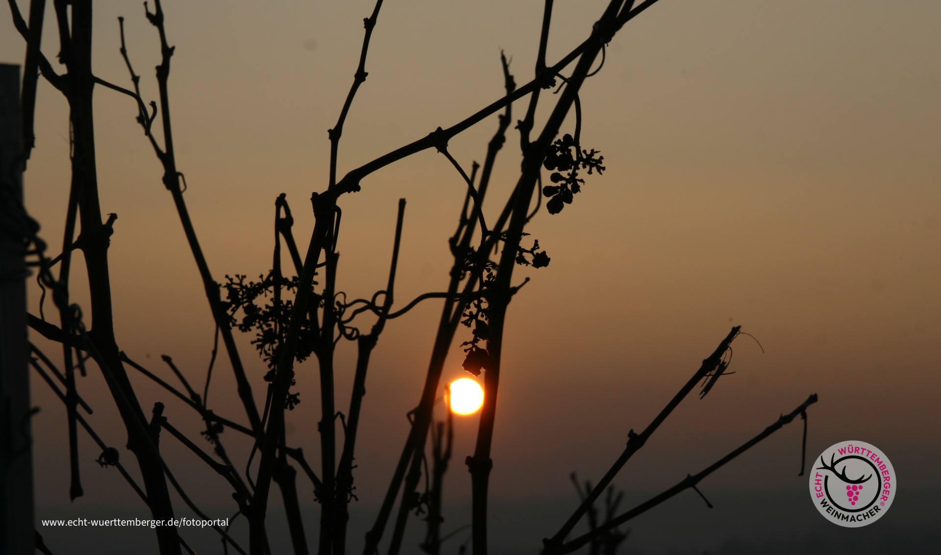 Winter-Sonne