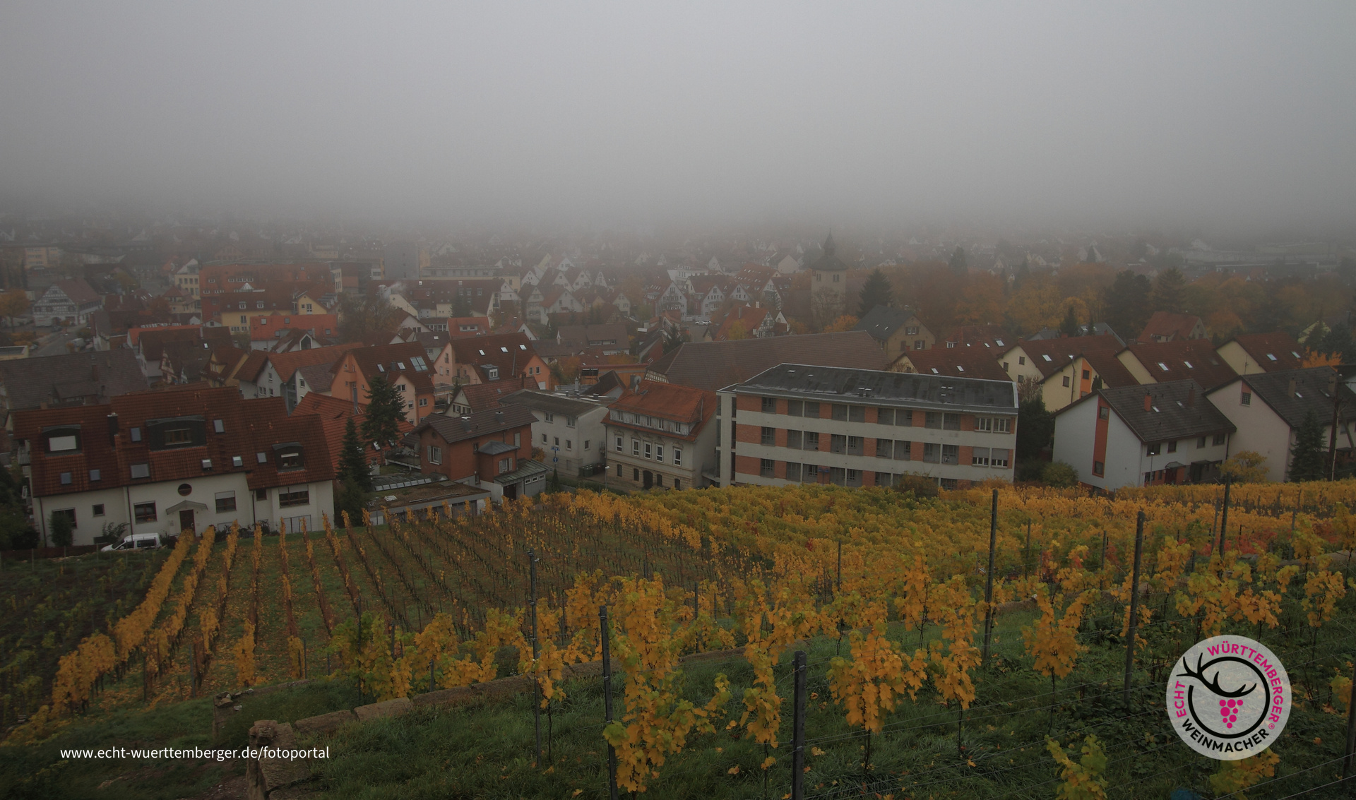 Asperg im Nebel