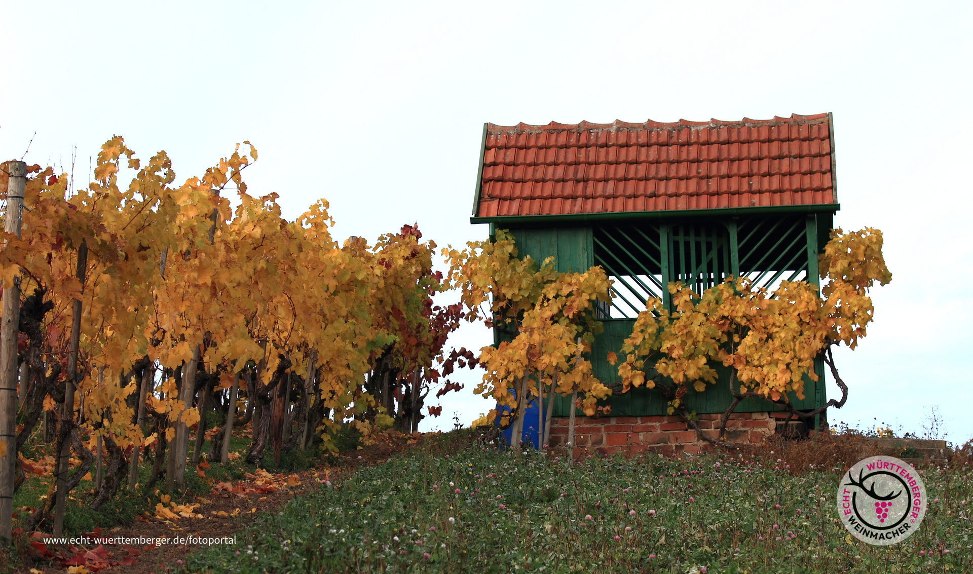 Weinberghaus