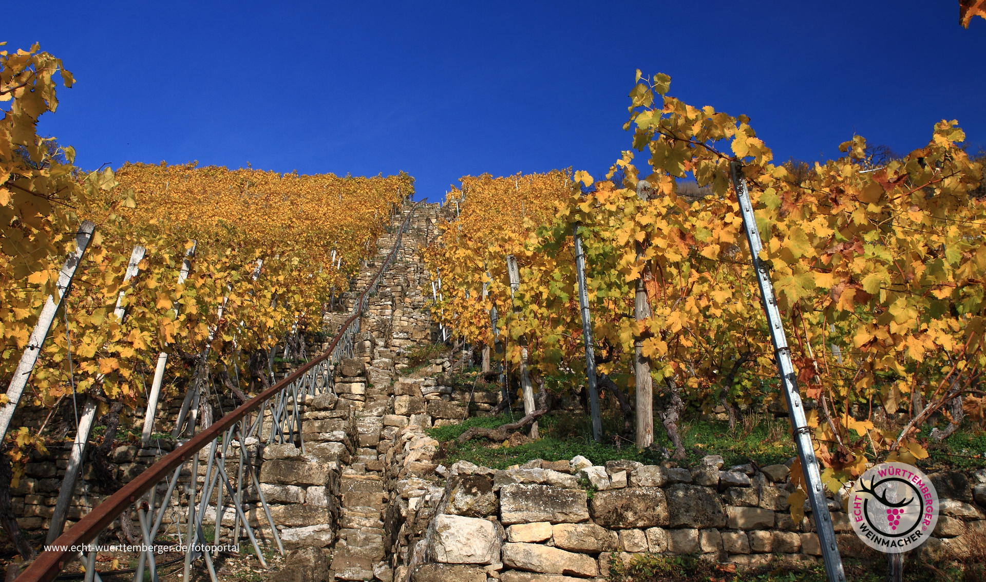Weinbergstäffela