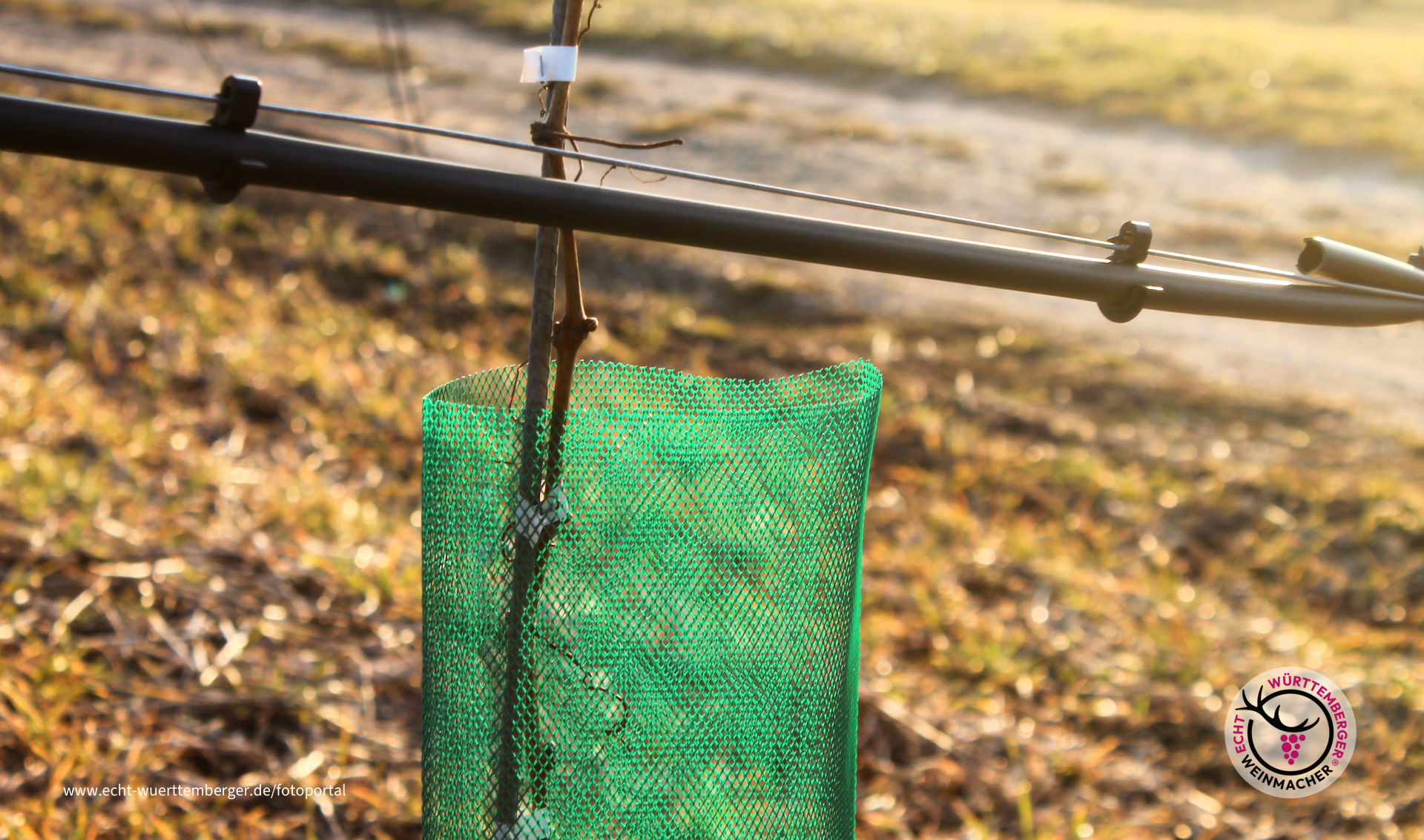 Bewässerungsanlage für den Nachwuchs 
