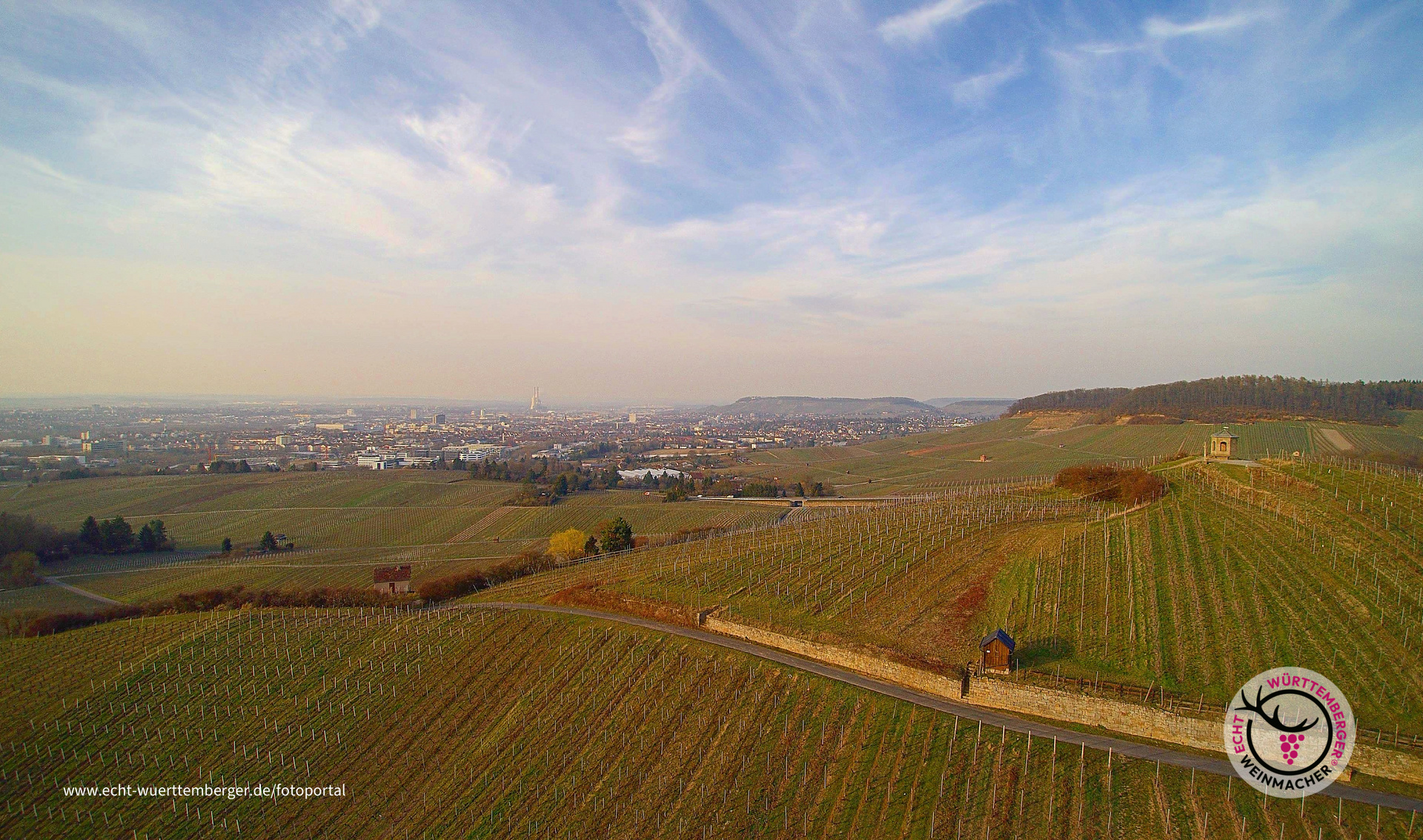 Heilbronner Weinlandschaft