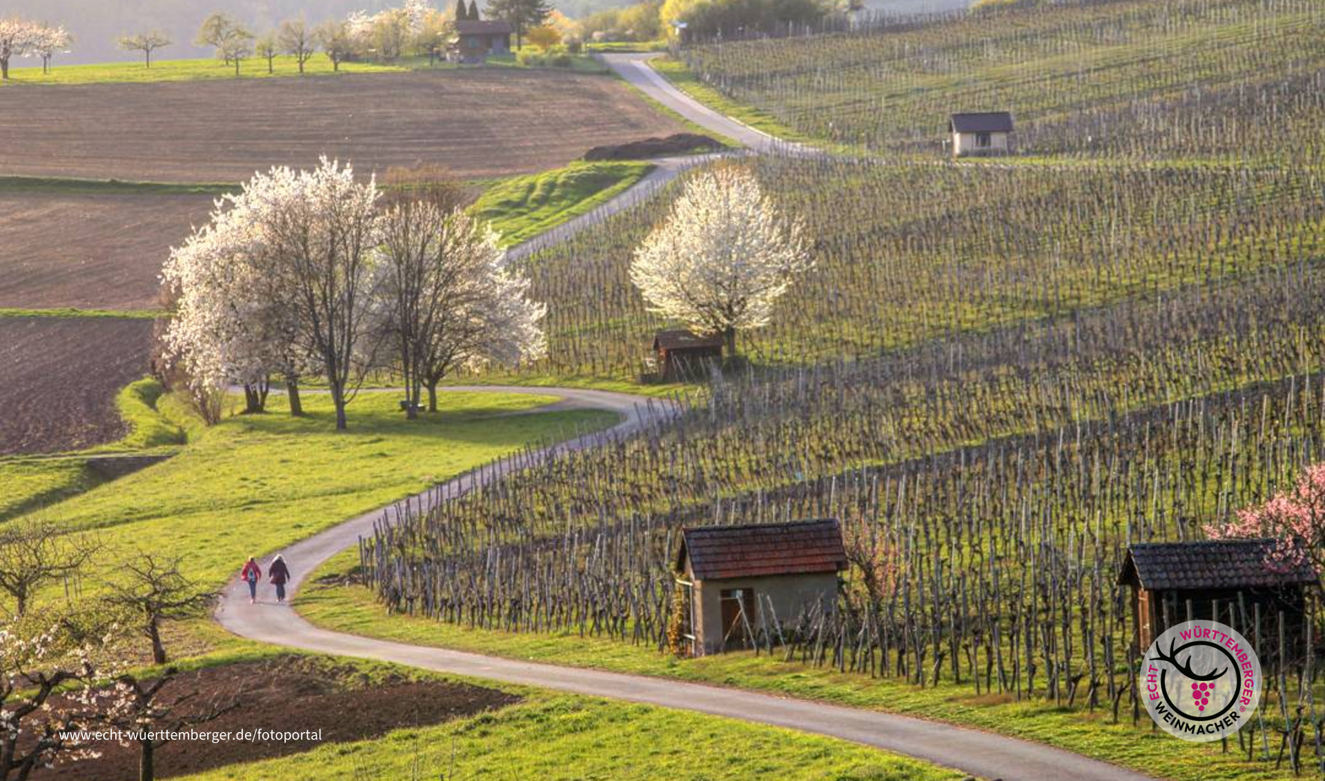 Frühlingslandschaft