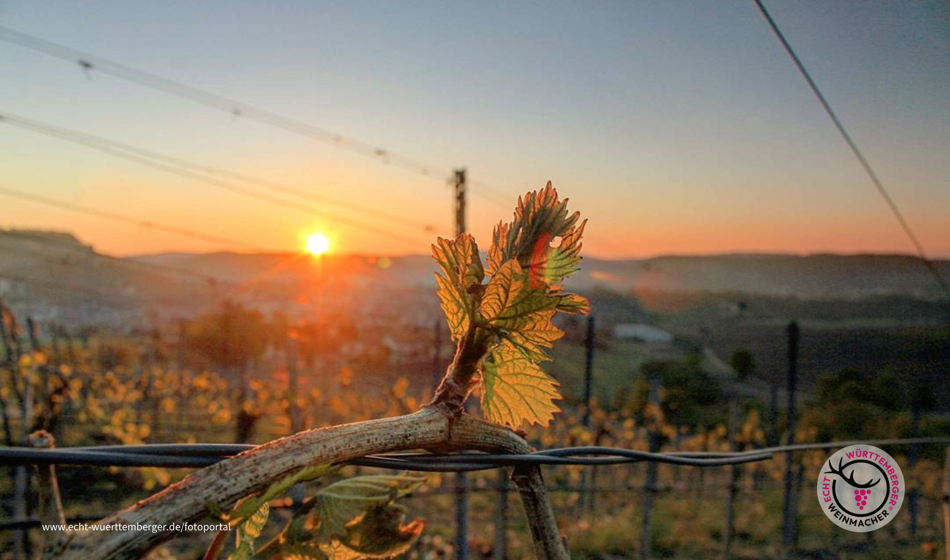 Sonnenaufgang nach einer frostigen Nacht