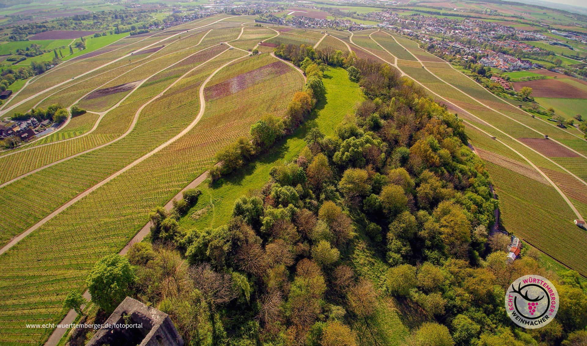 Weinberg-Panorama
