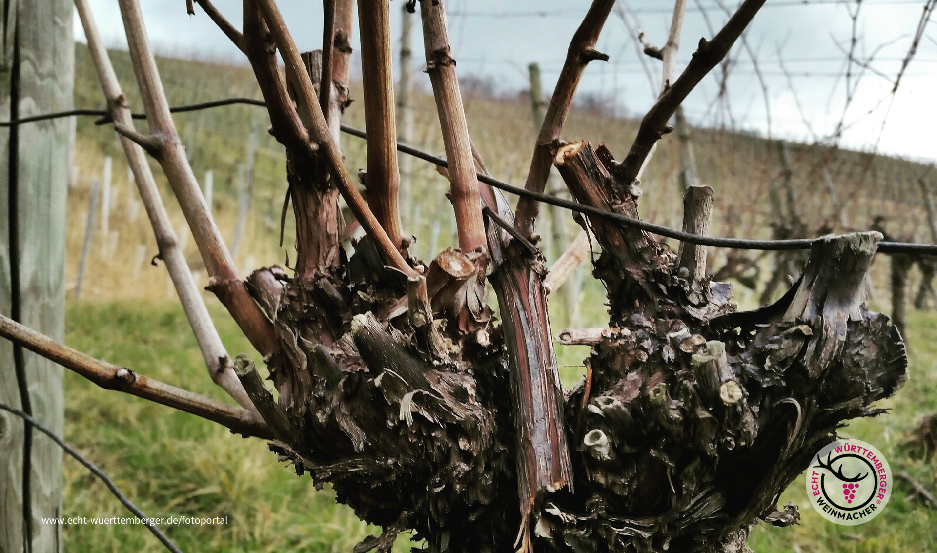 Ein halbes Jahrhundert