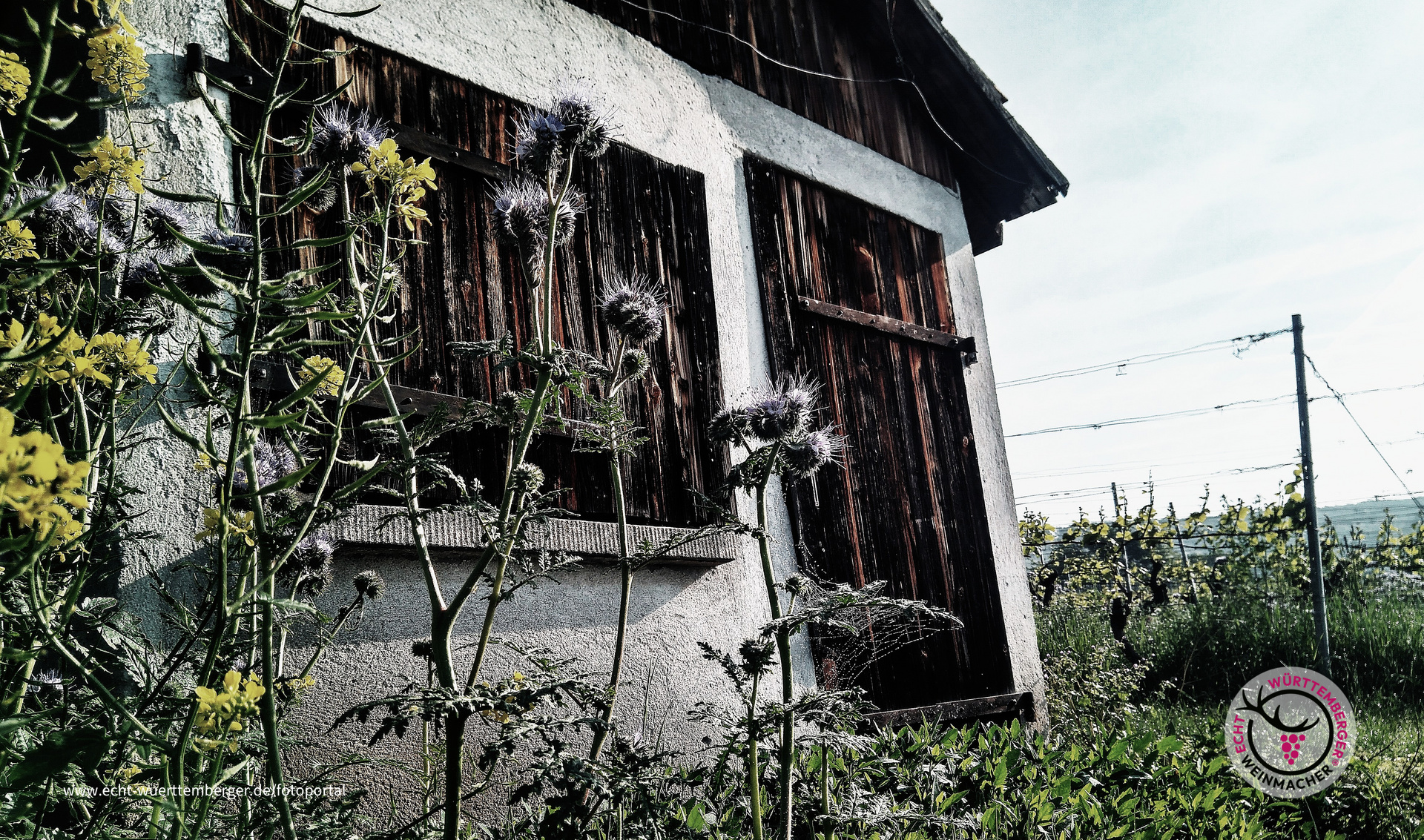 Wengerthäusle im Remstal