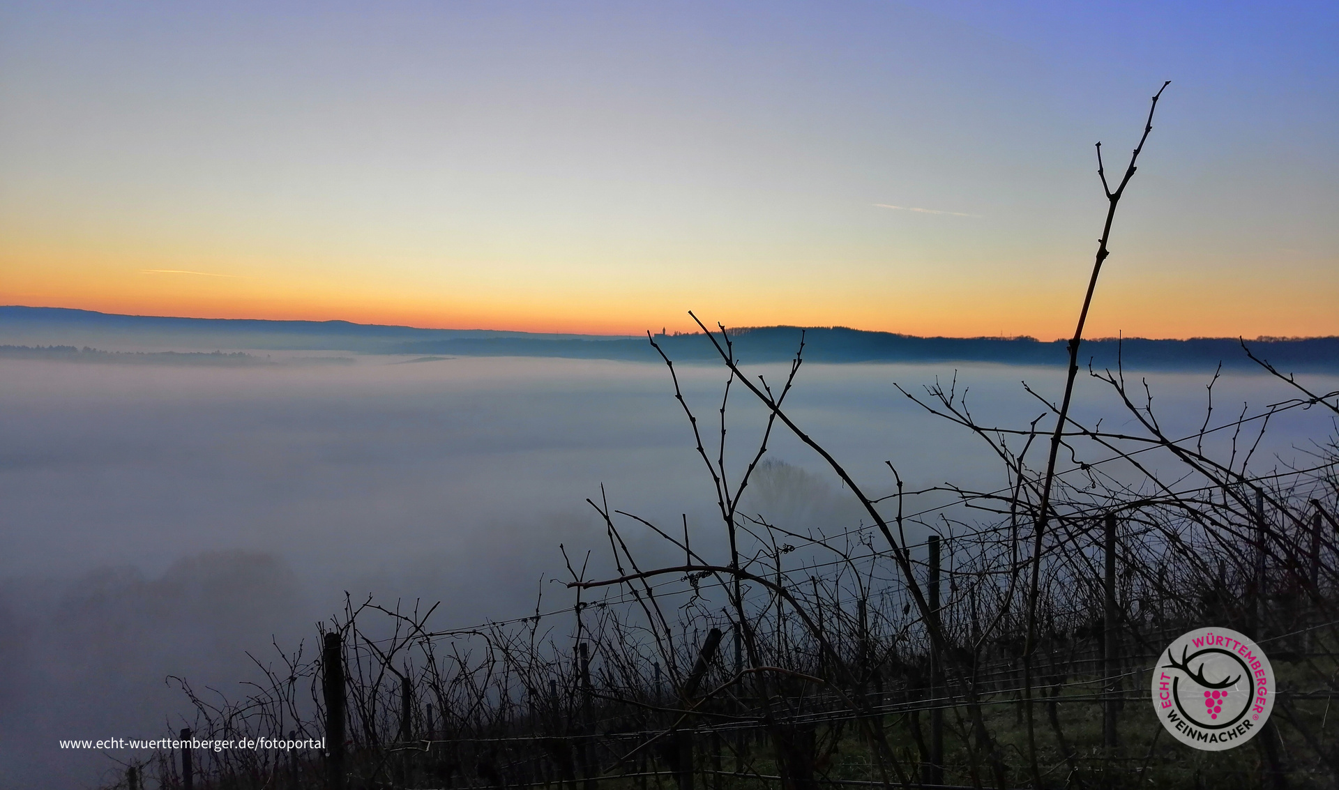 Zweifelberg im Nebel