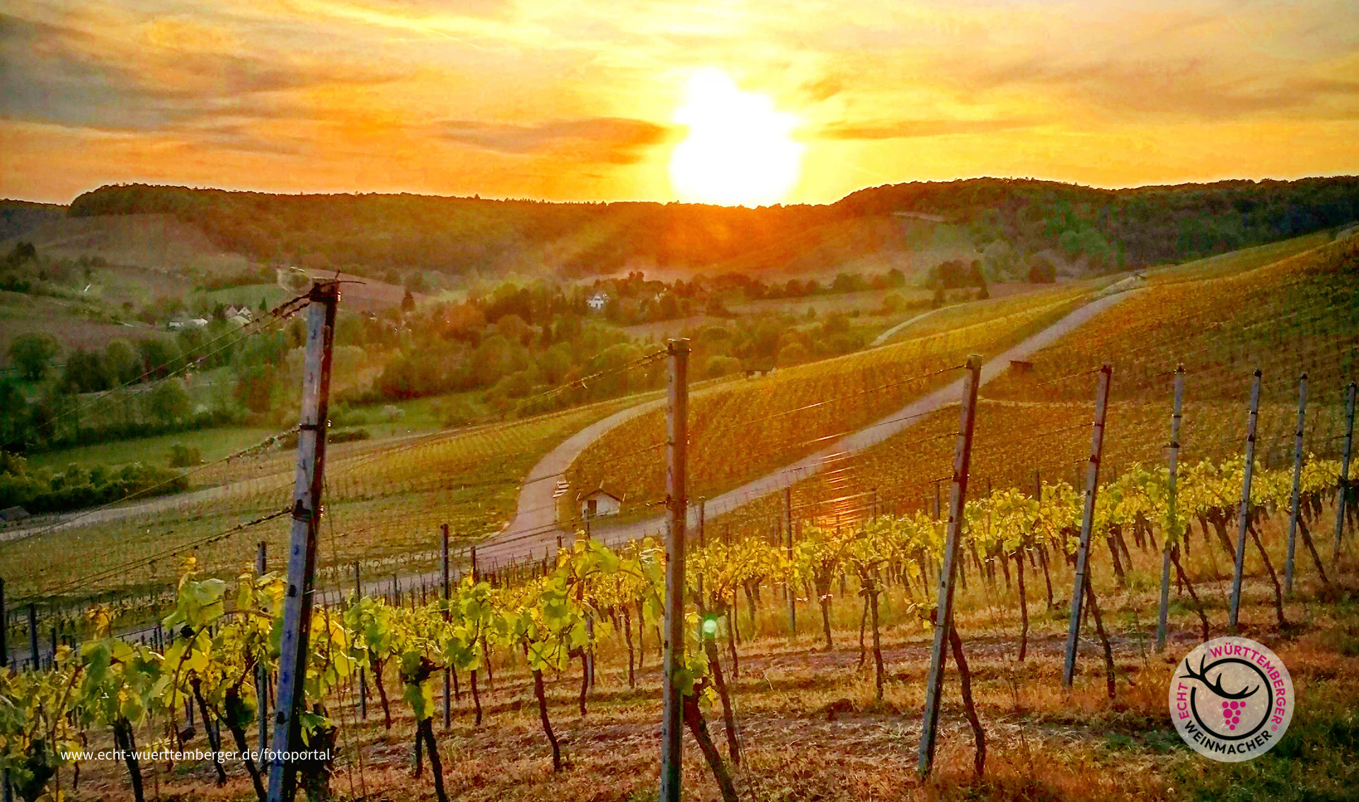 Sundowner im Weinberg