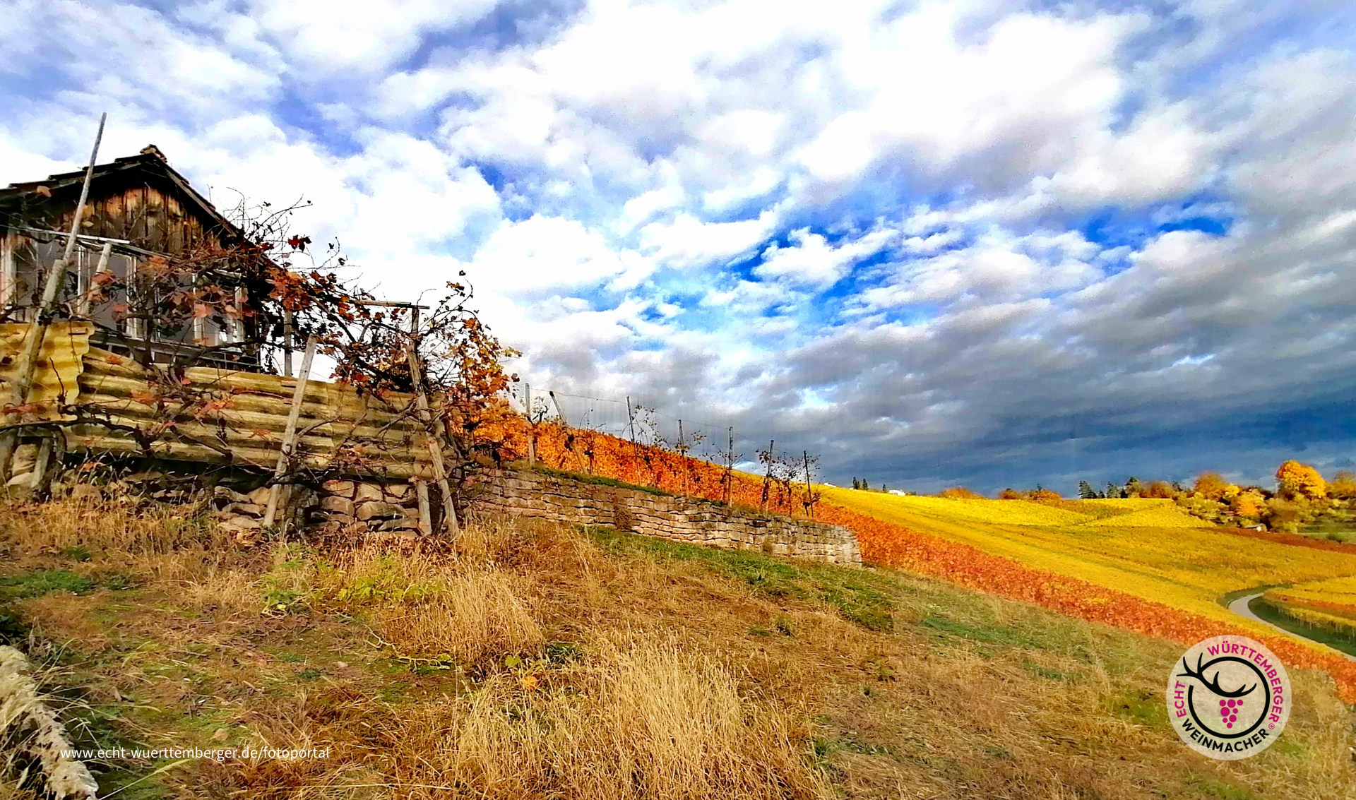 Der Herbst ist wieder da