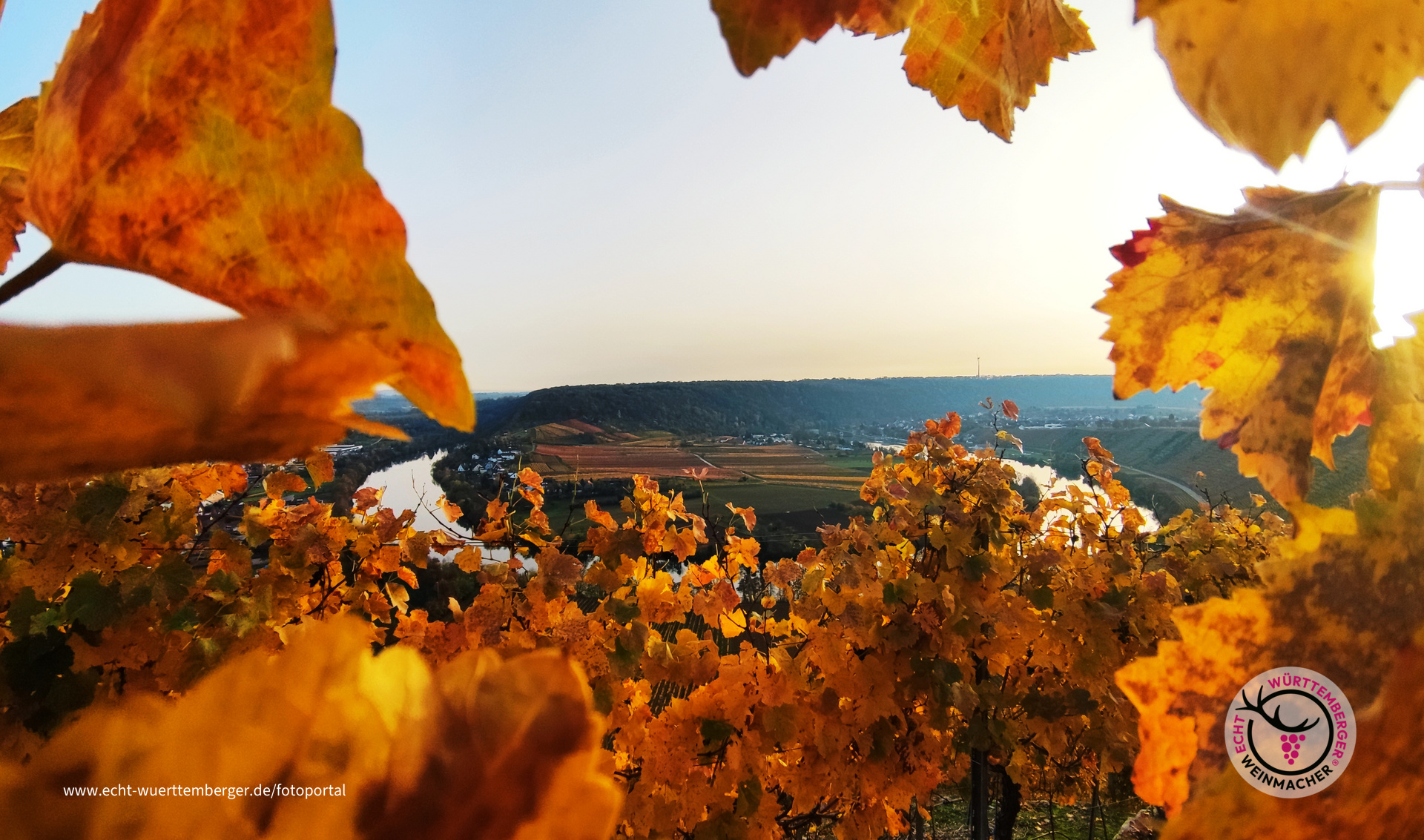 Neckarschleife Mundelsheim