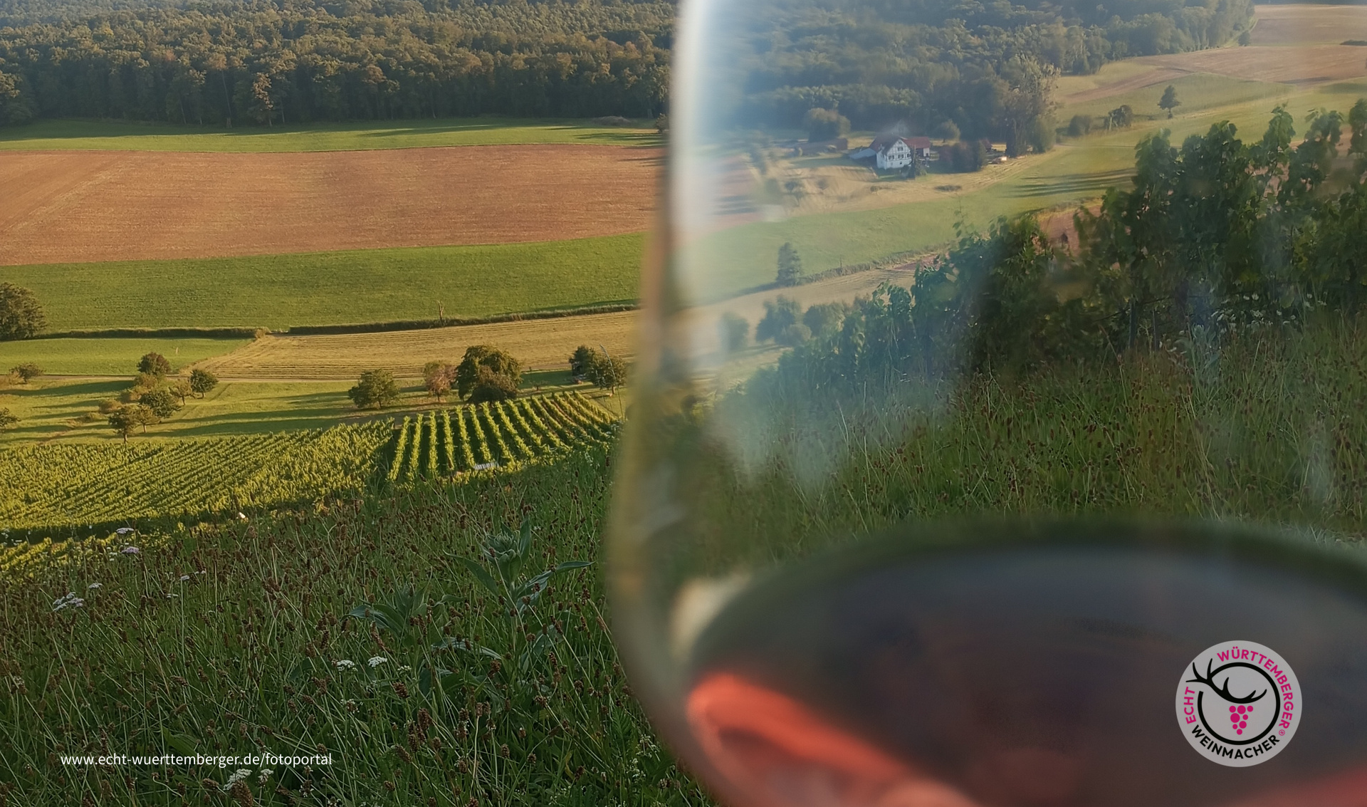 Traum im Glas
