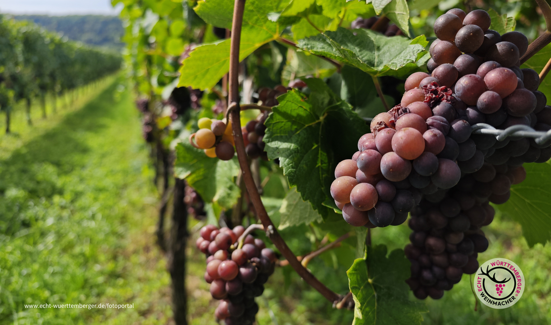 Warten gelesen zu werden