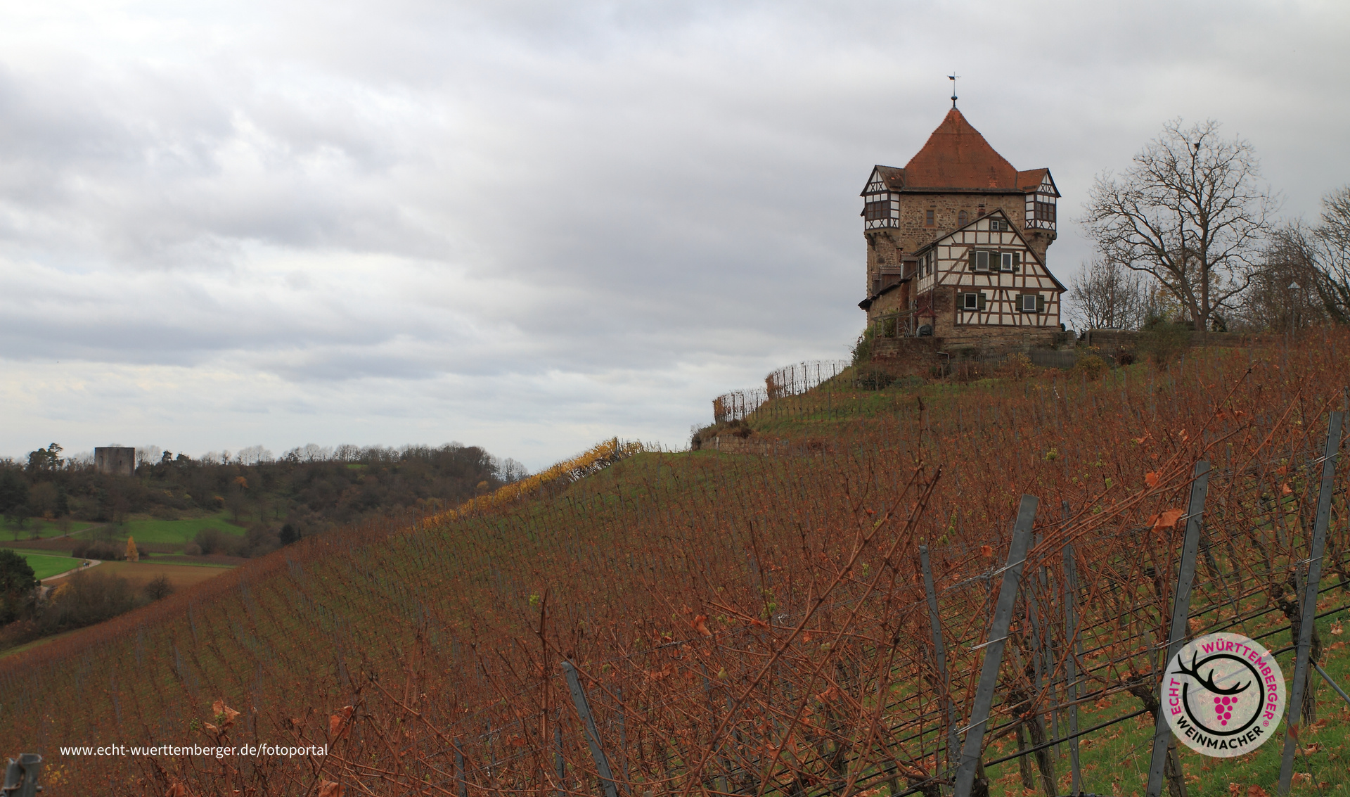 Auf der Höhe