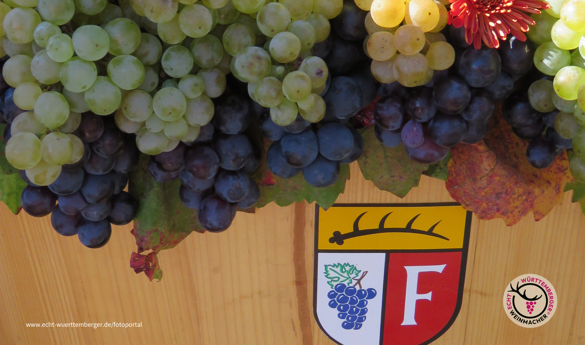 Fellbacher Herbst 2018