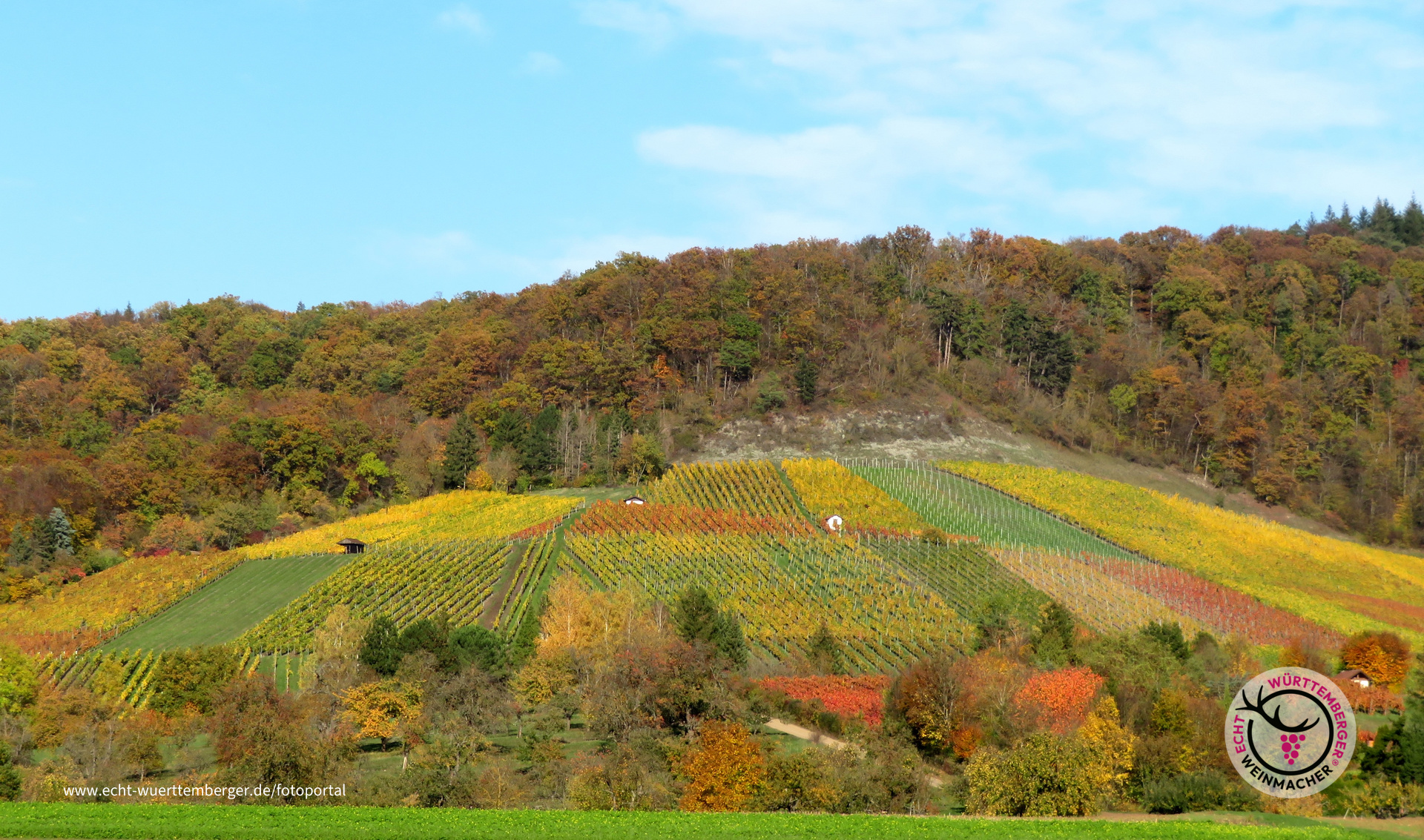 Weinberggeometrie