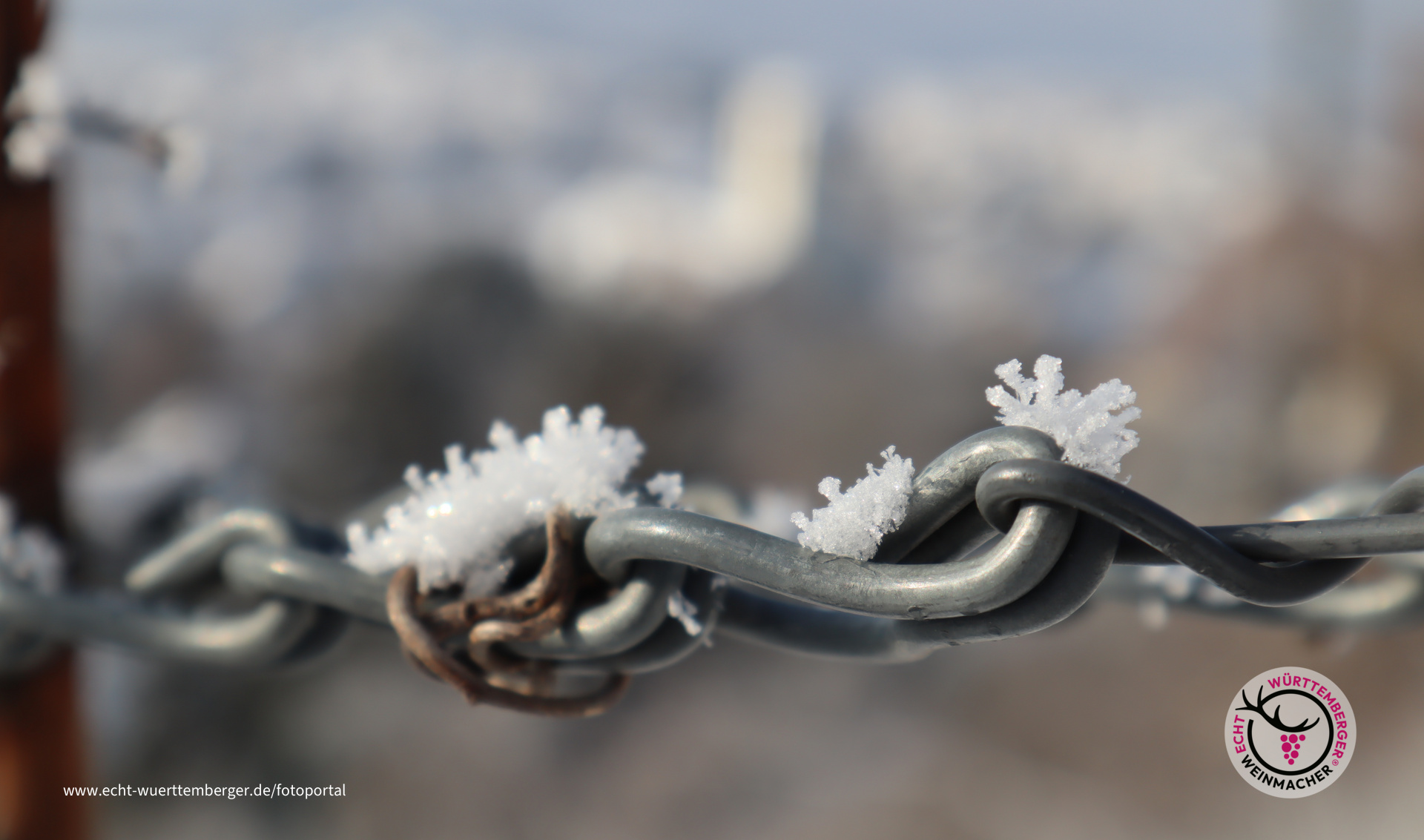 Klirrende Kälte hinterlässt Spuren