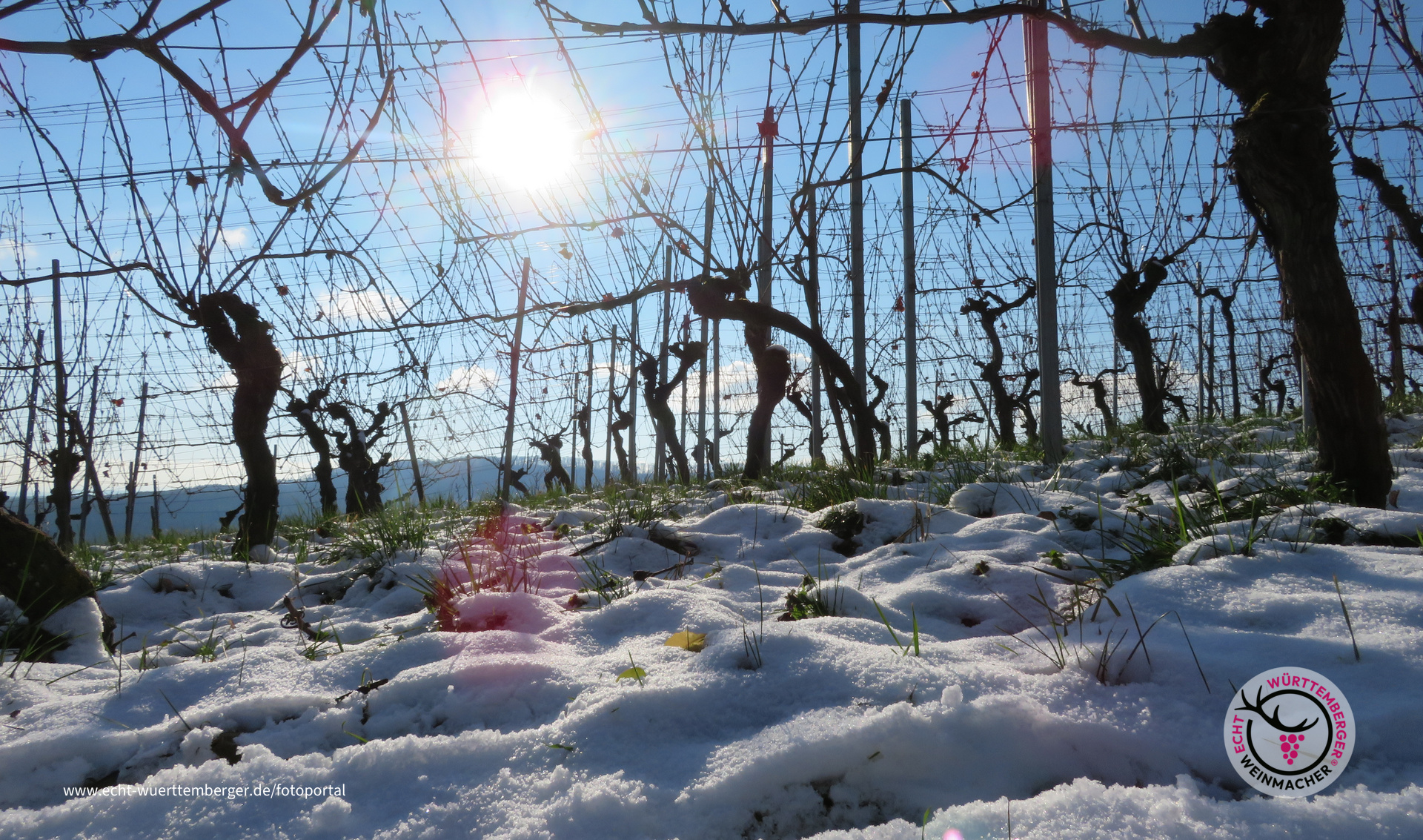 Winterwonder-Weinland
