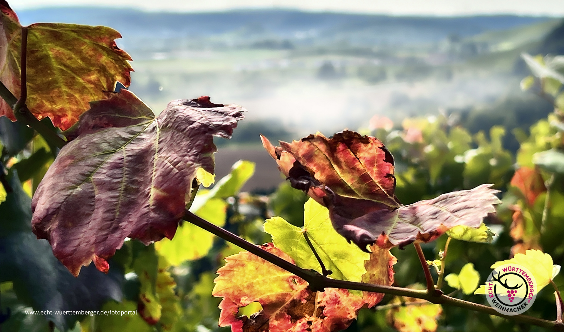Herbst