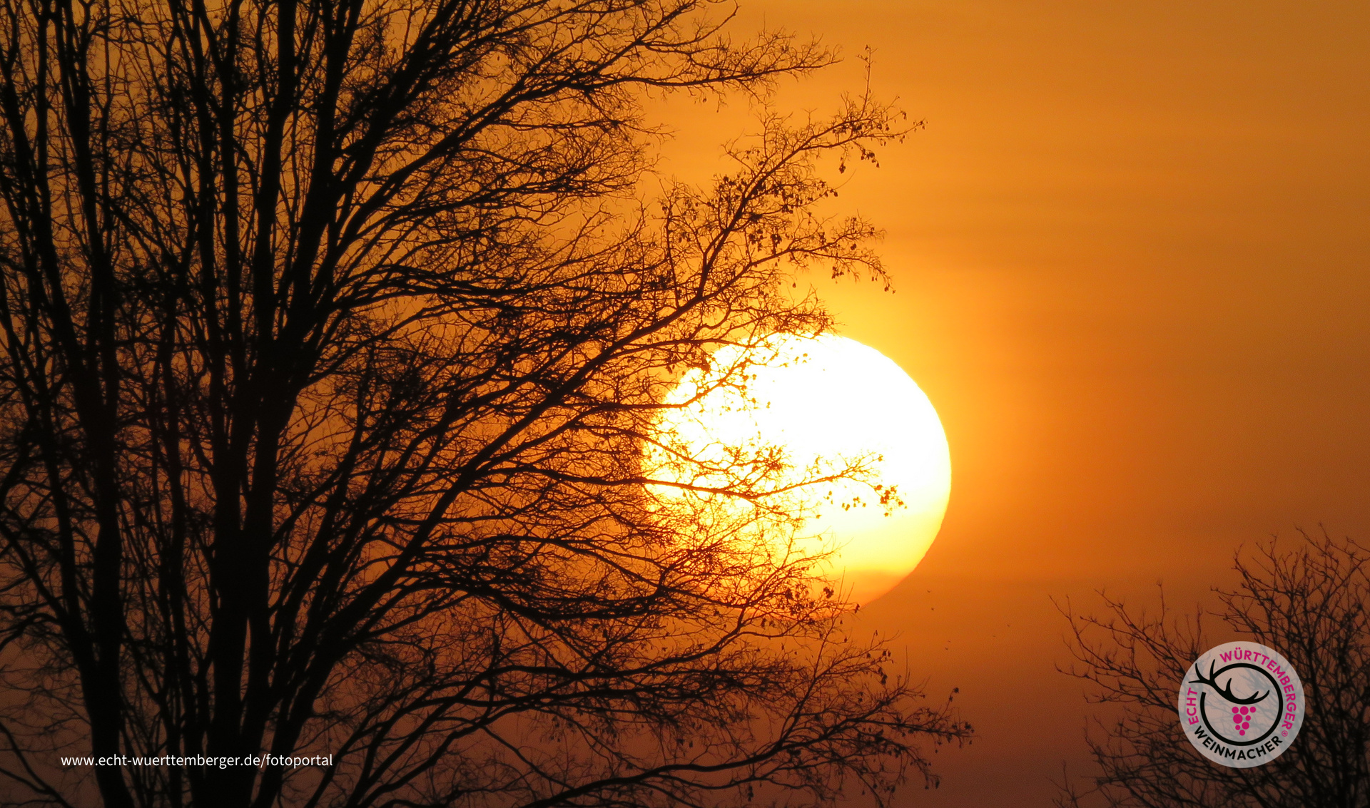 Sonnenuntergang in Fellbach am 25.01.2020