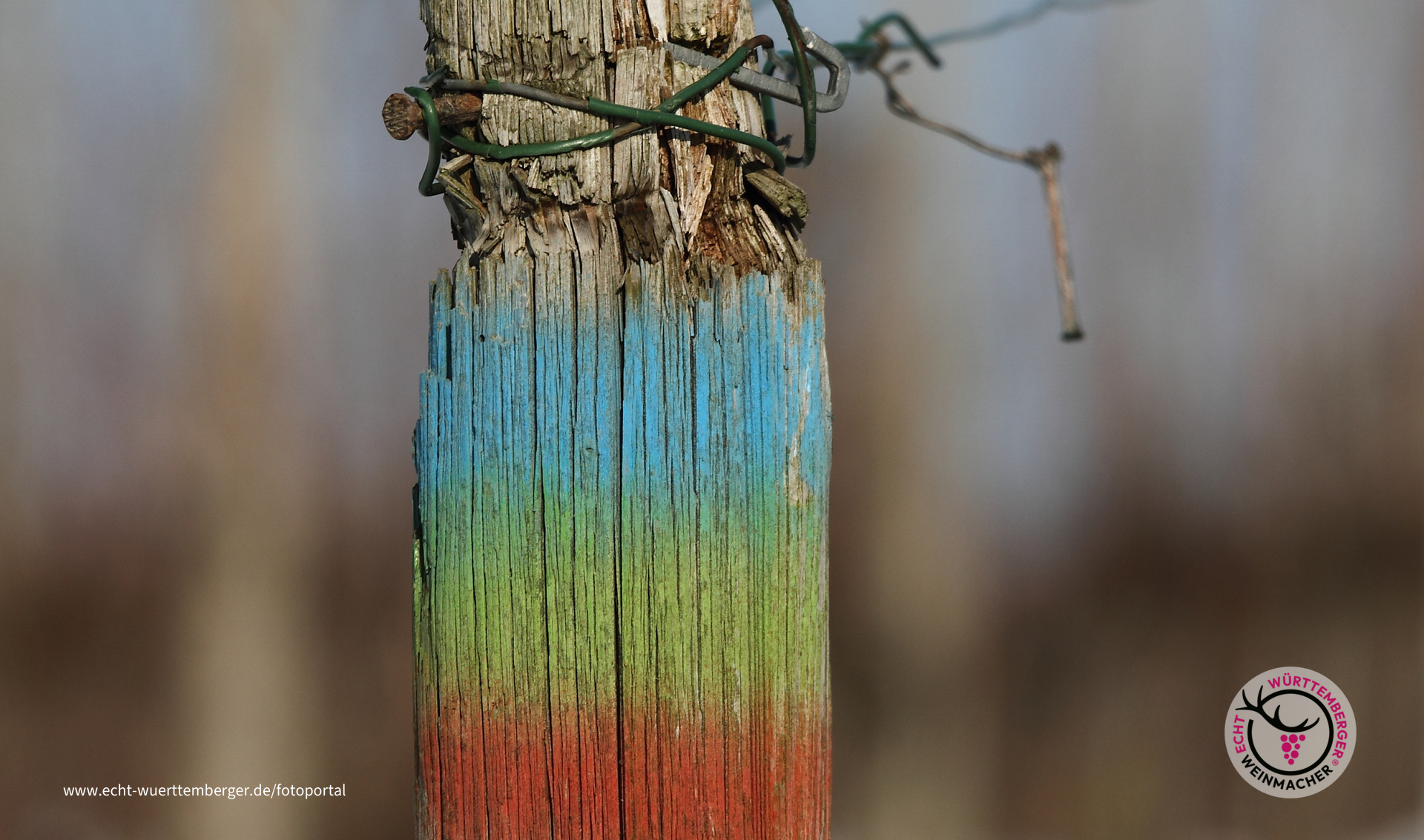 Farben in den Weinbergen