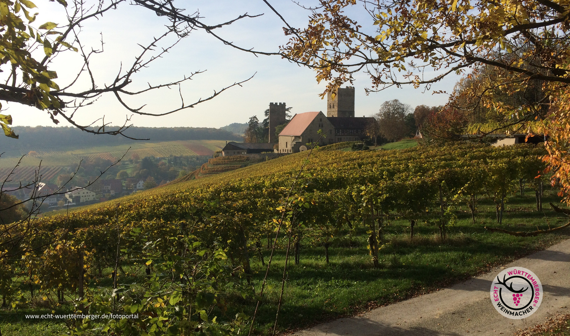 Burg Neipperg