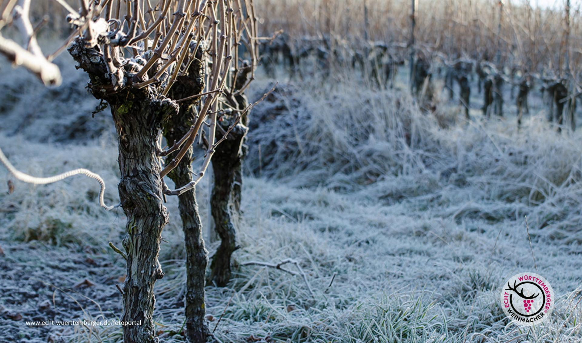 Eschelbacher Schwobajörgle