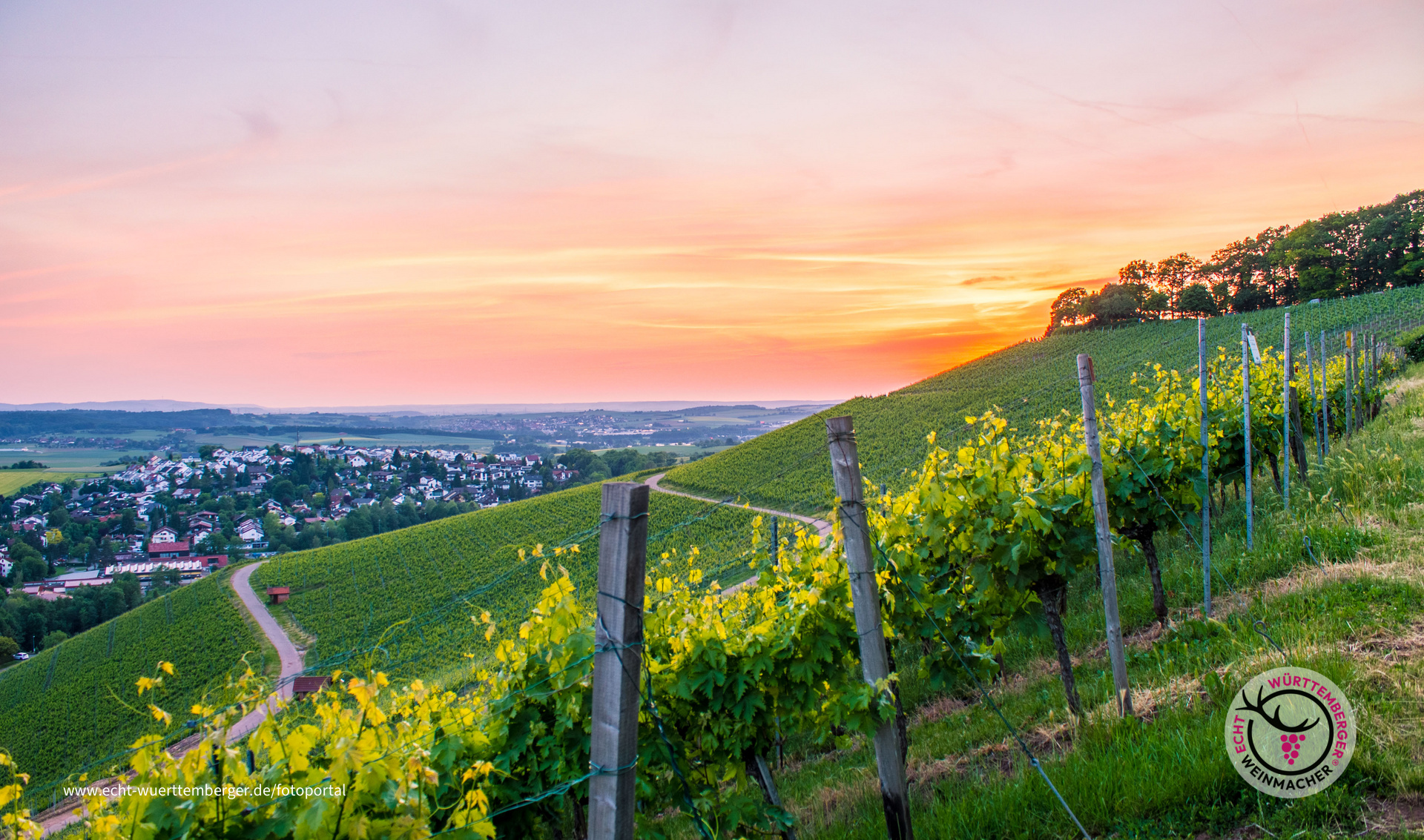 Sommerabend