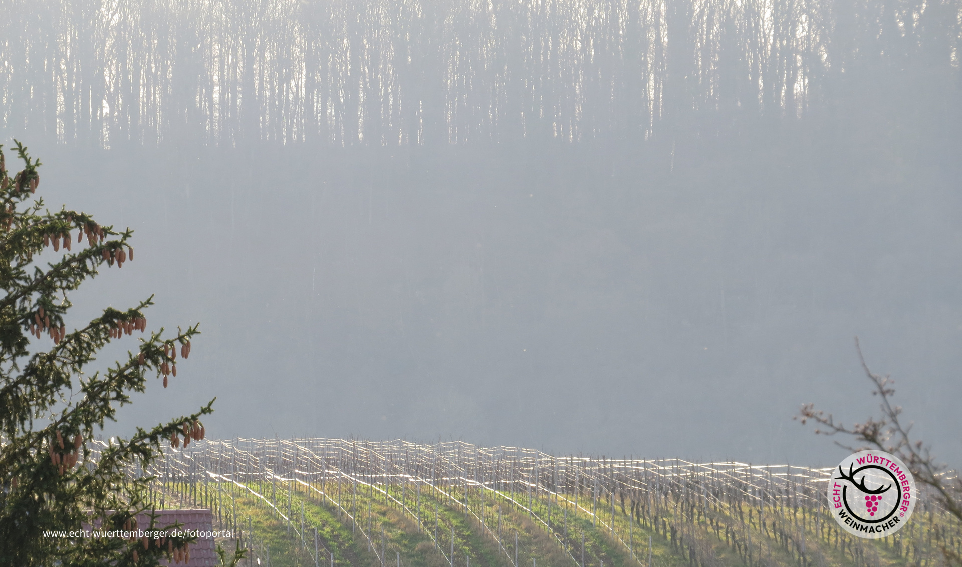 Warten auf den Winter