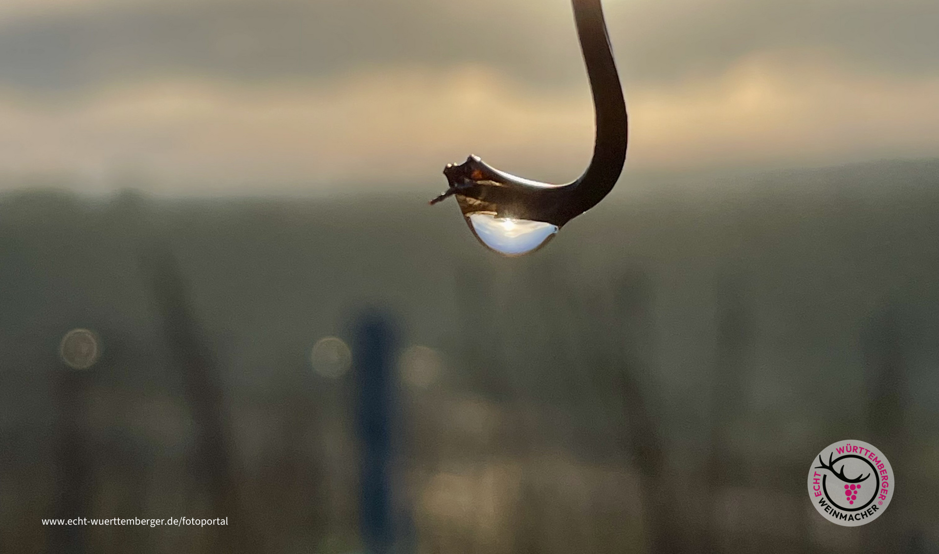 Nach dem Regen -Morgenfrische