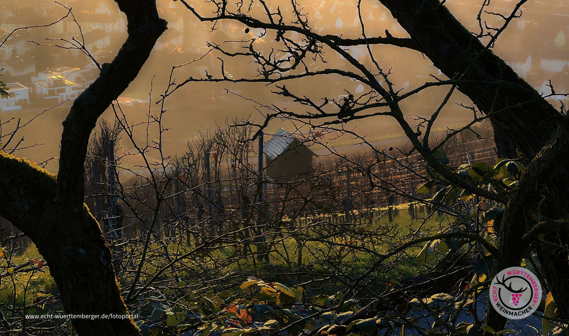 Das Fenster zur Stadt Heilbronn