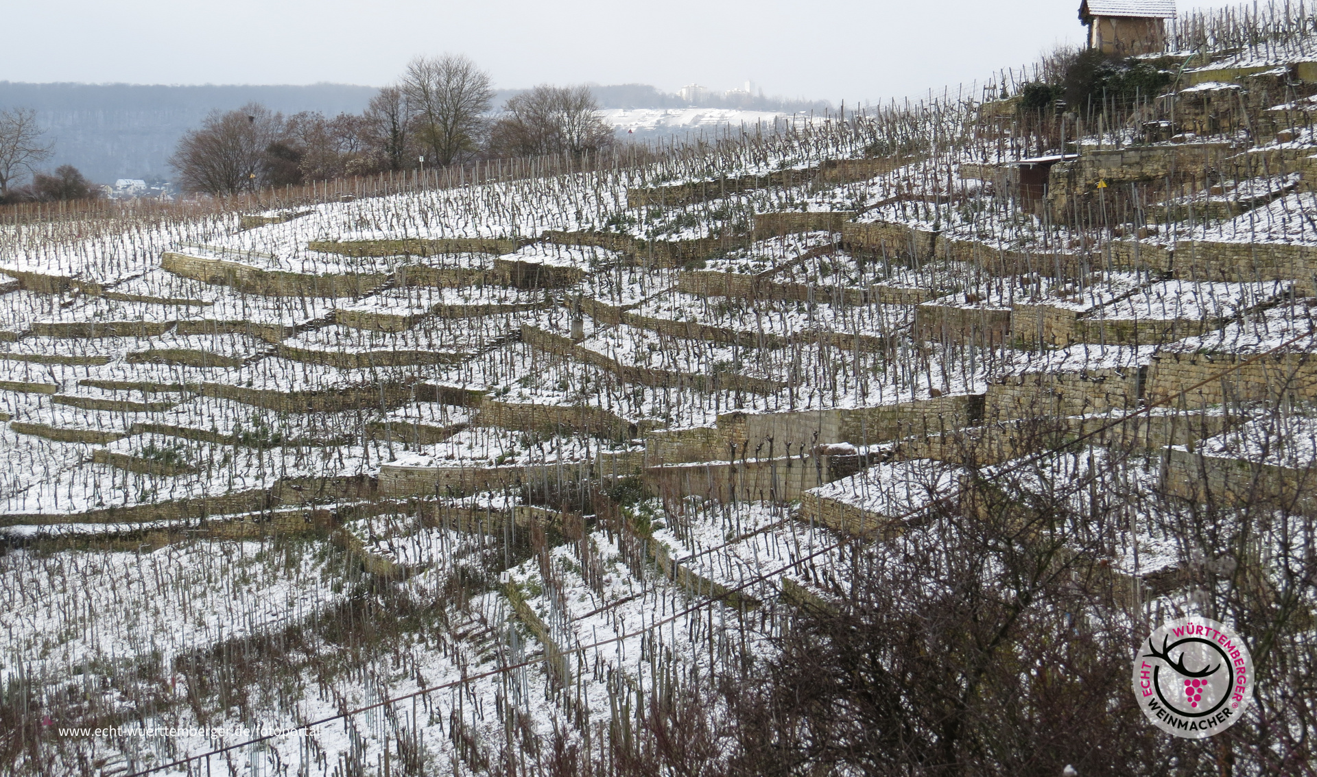 Winterpause
