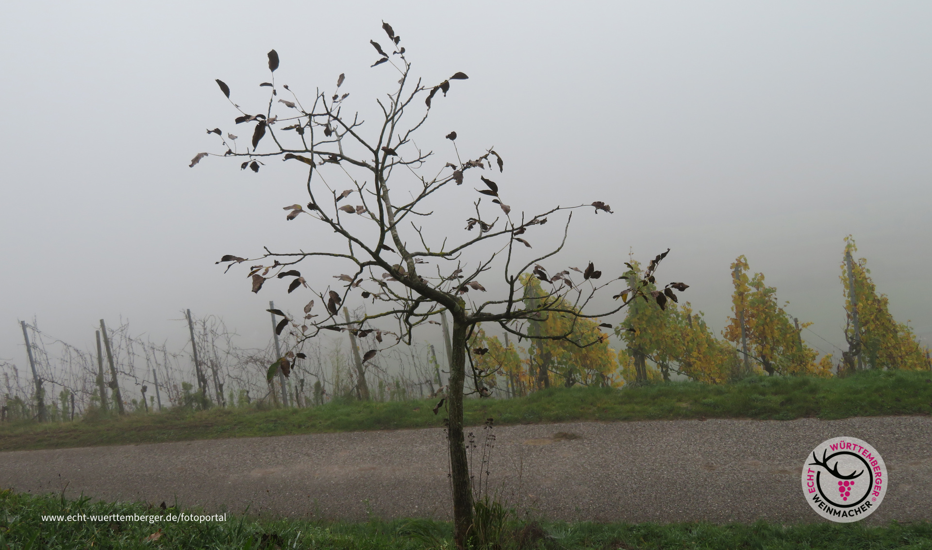 Novemberstimmung im Oktober
