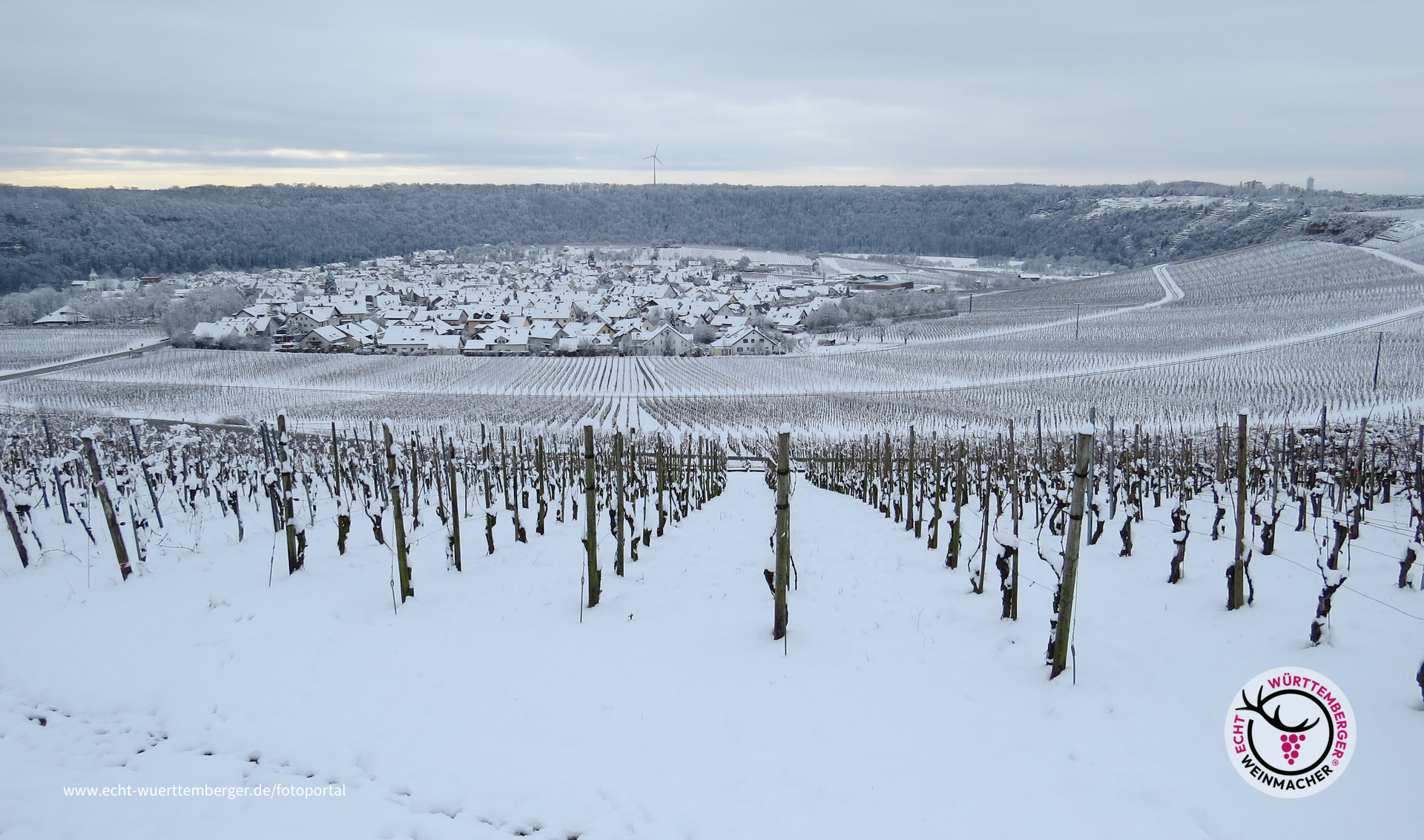 Winterpanorama zwischen Wald und Reben