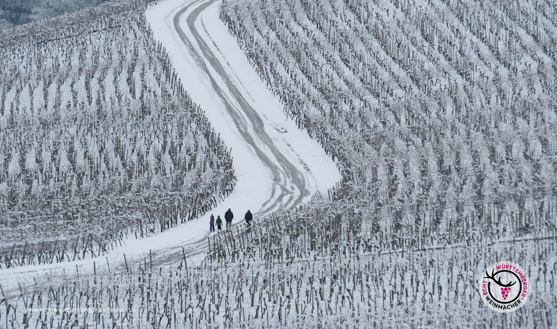 Winterwege
