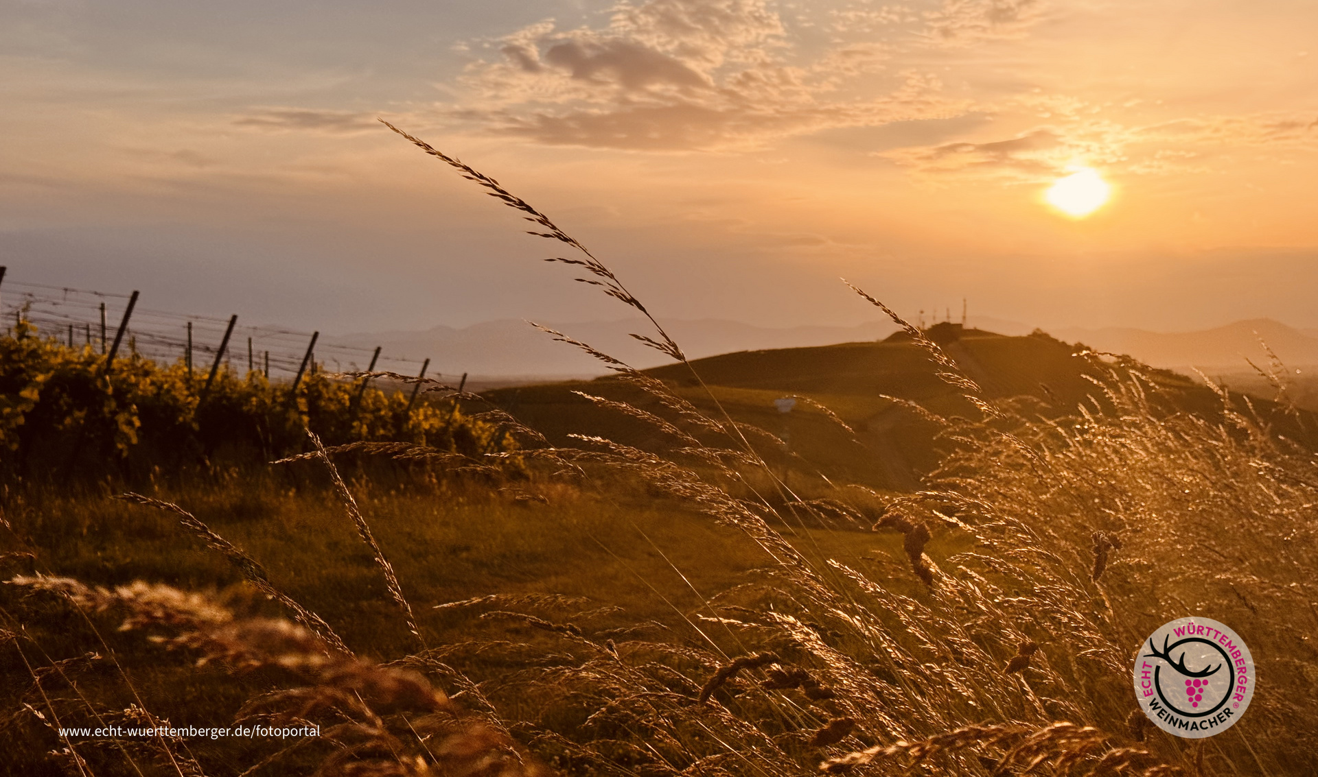 Magische Momente in Leiselheim ❤️