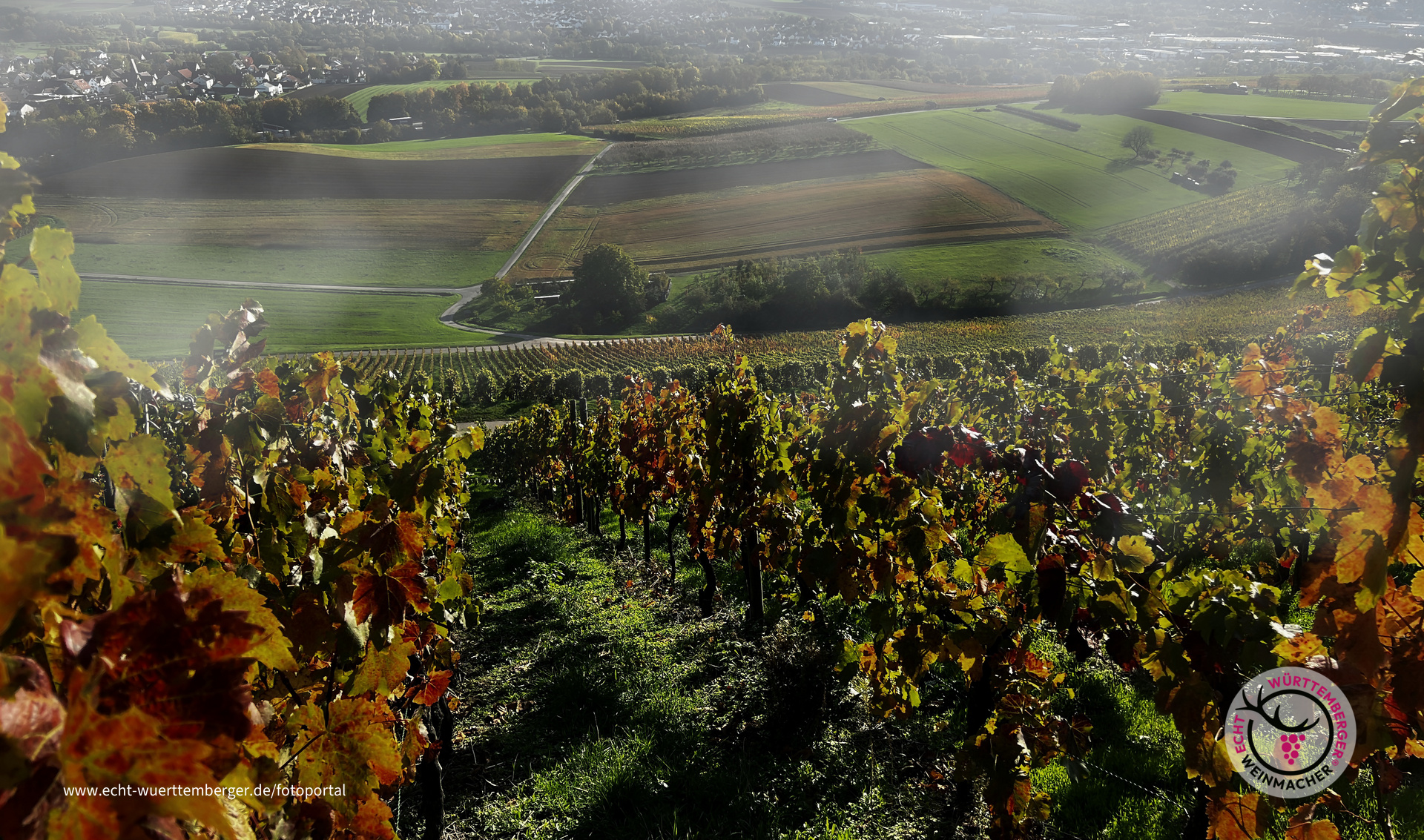 Die Sonne verscheucht den Nebel