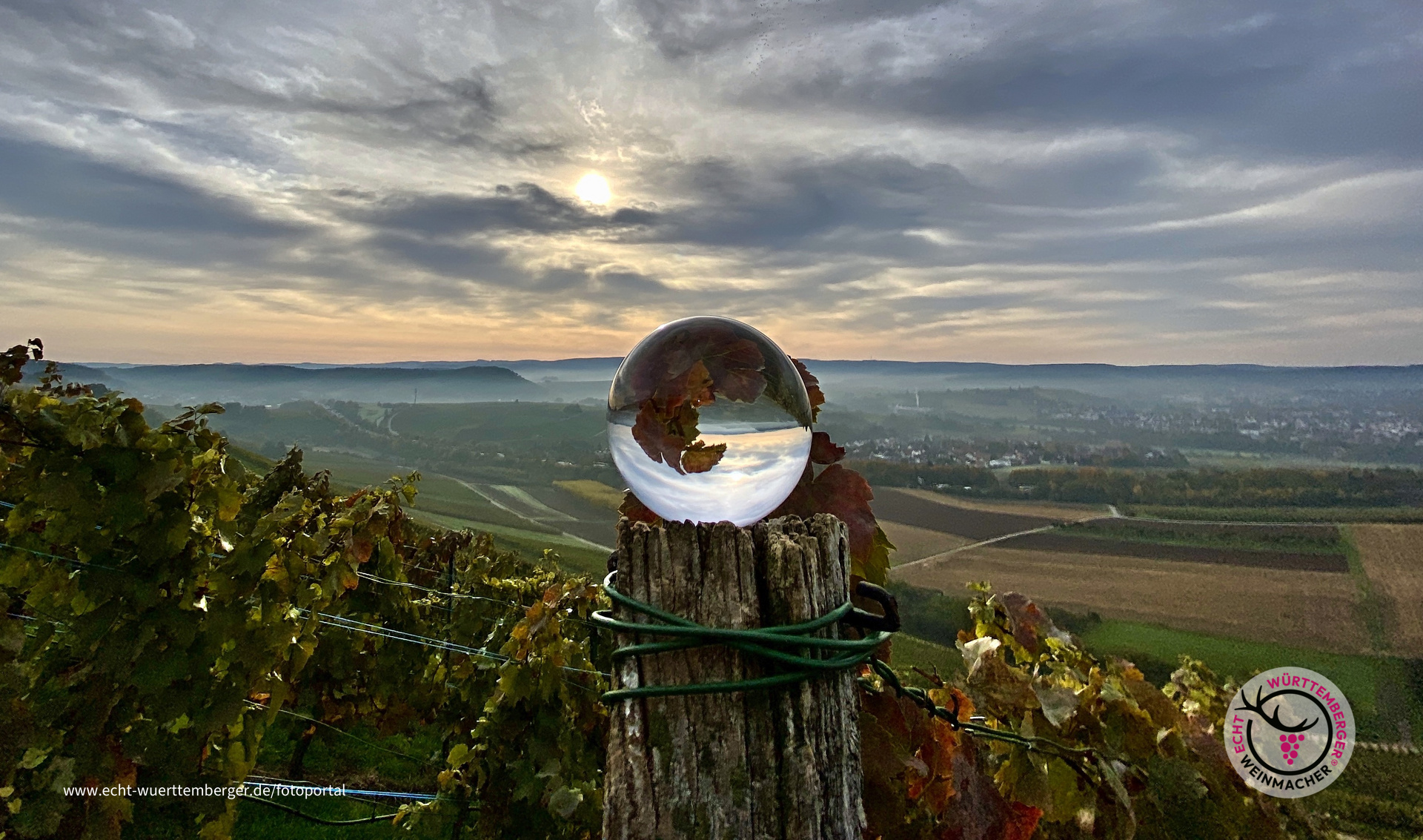 "Oechsleorakel" vom Grantschener Wildenberg