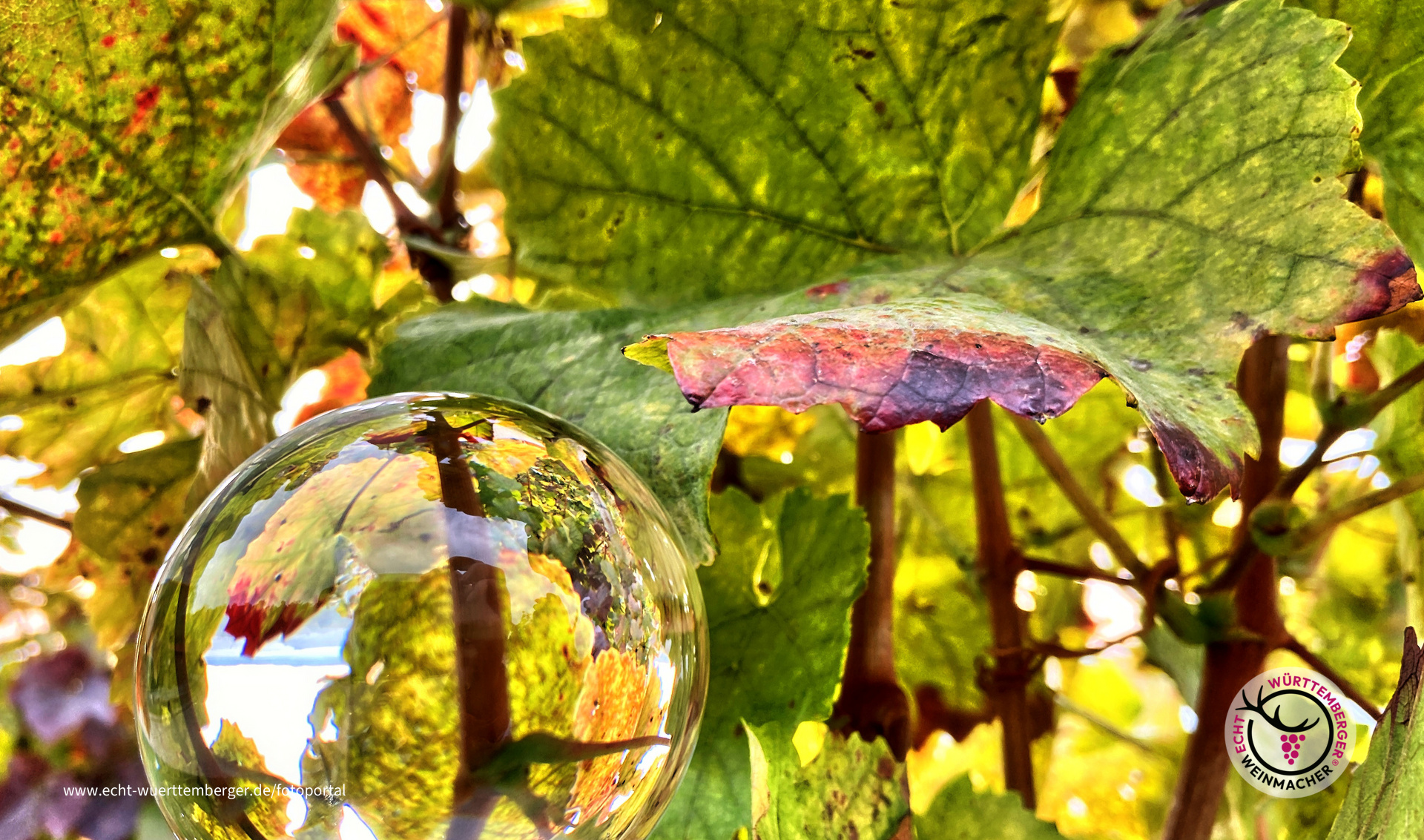 Herbstbunt