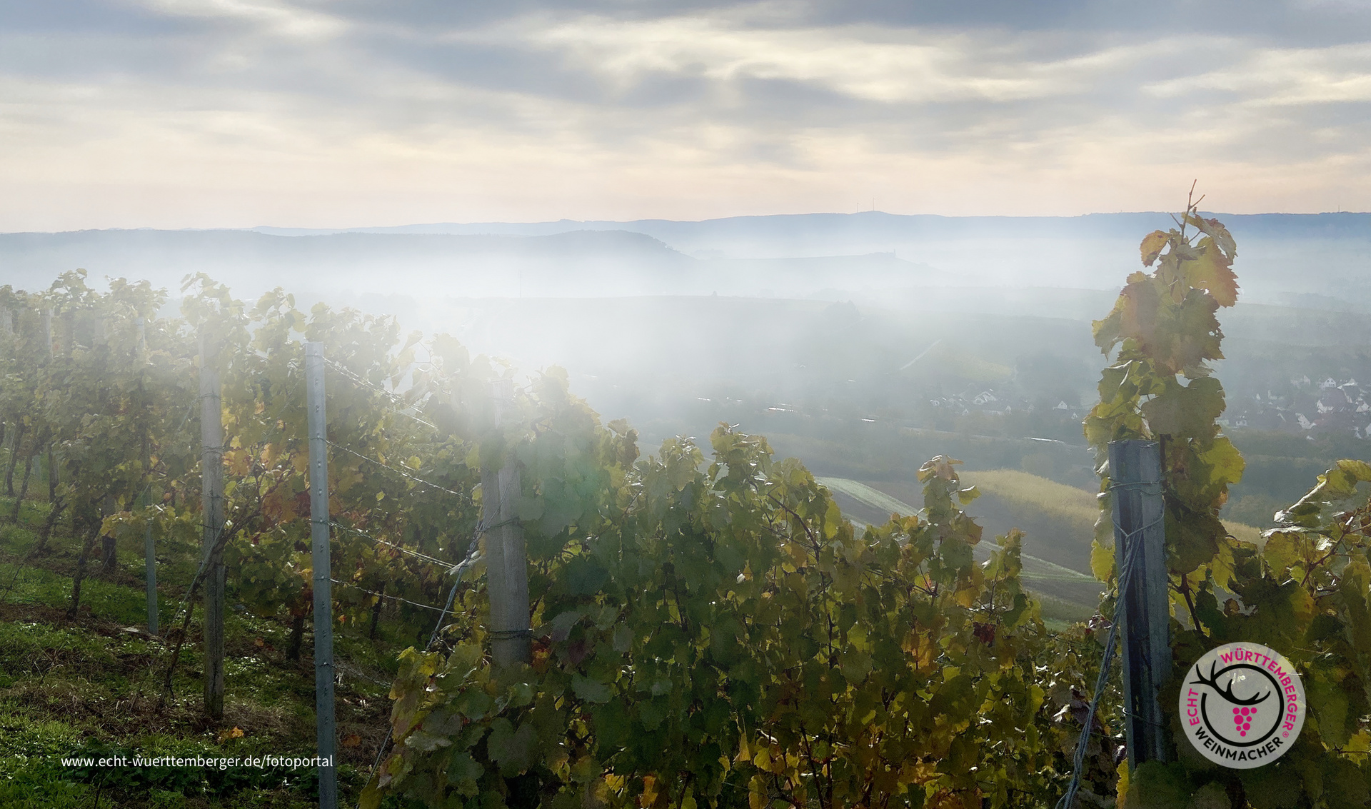 Es wird Herbst, der Nebel wabert durch das Weinsberger Tal.