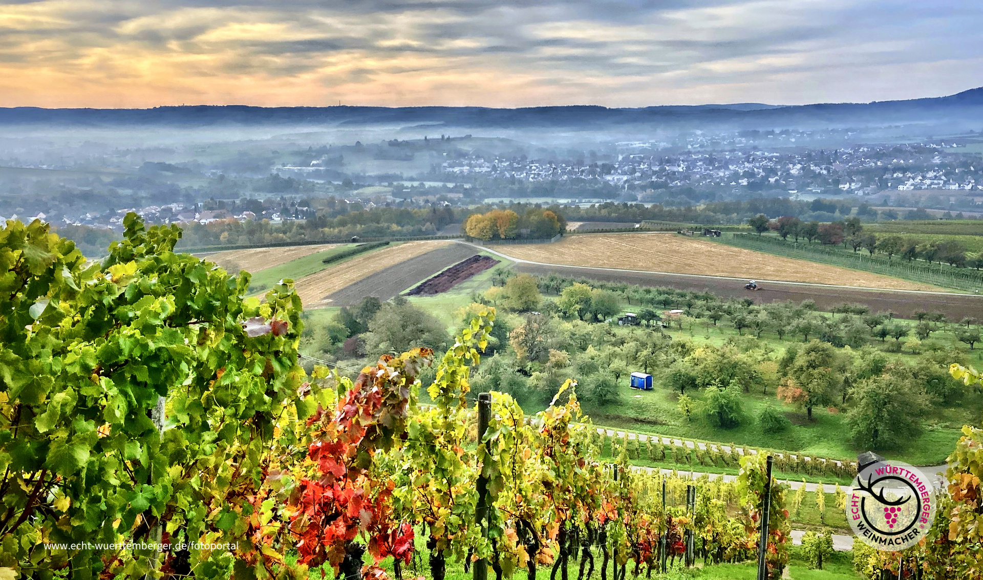 Novembernebel am Wildenberg