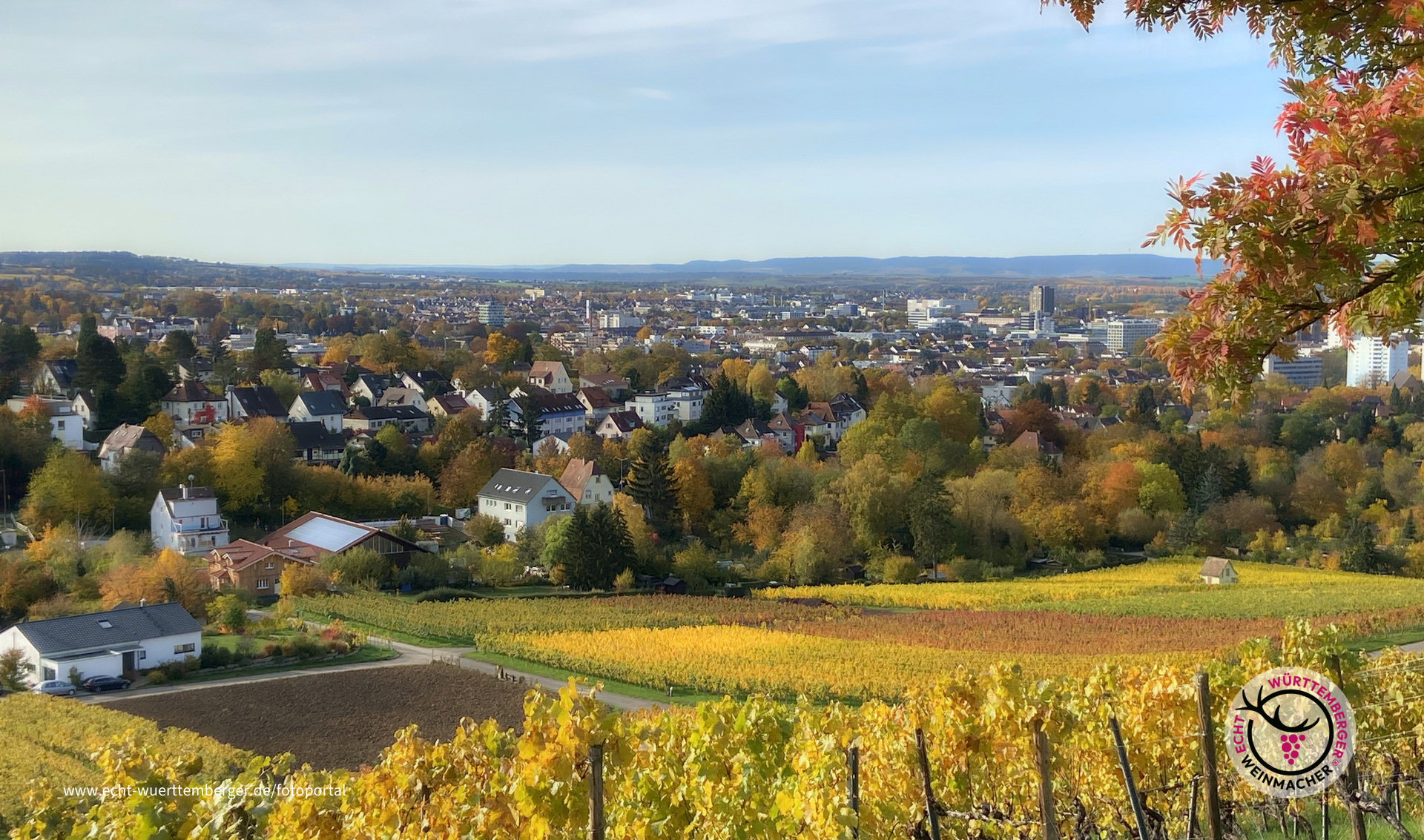 "Trollingerhauptstadt Heilbronn