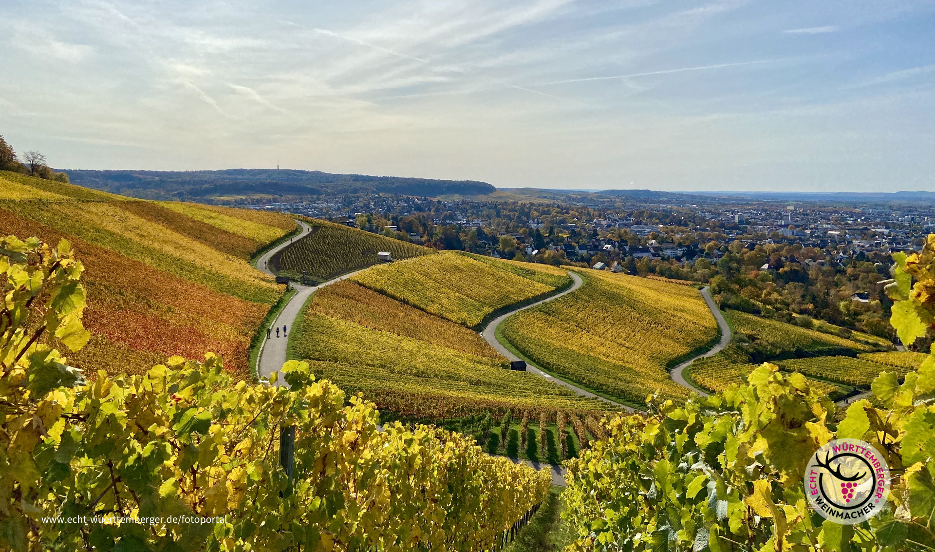 Goldener Oktober am Wartberg