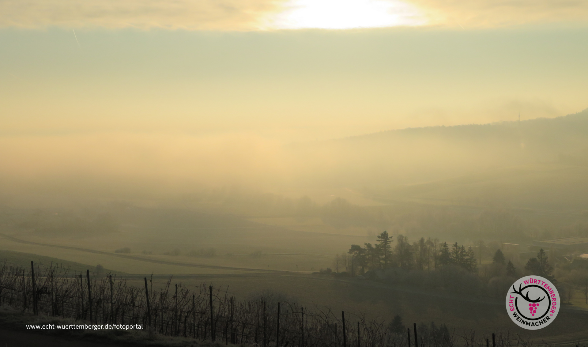 Frostiger Dezembersonnenaufgang
